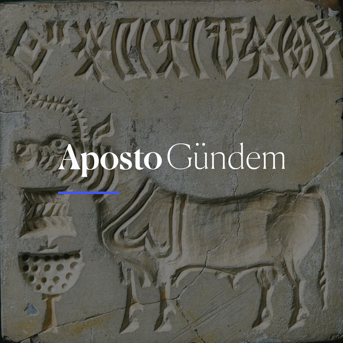 Gezi’nin rövanşı, yangında ilk tutuklama | 25 Ocak 2025