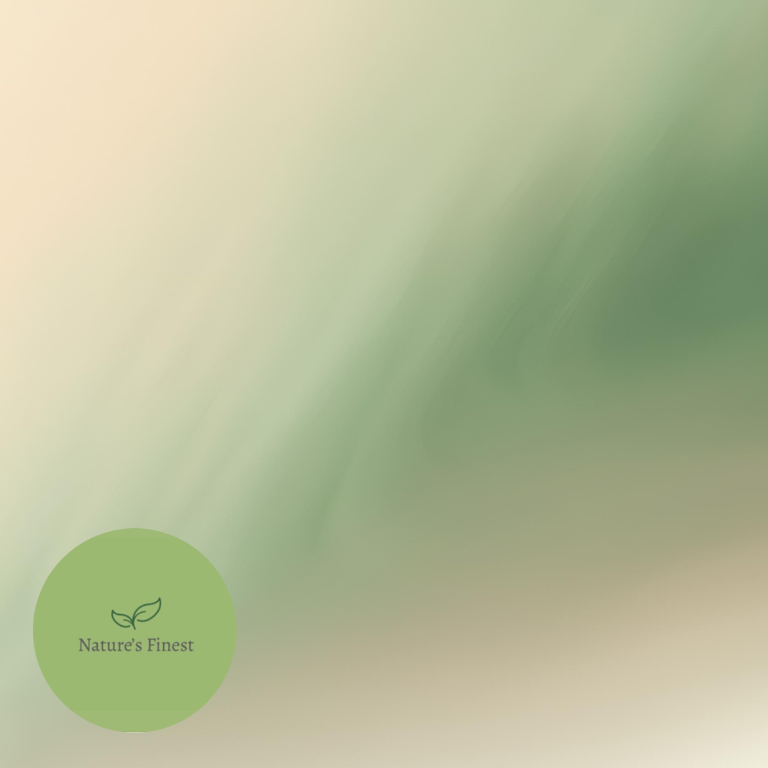 12 Hours Consistent Rainfall | White Noise for Sleep