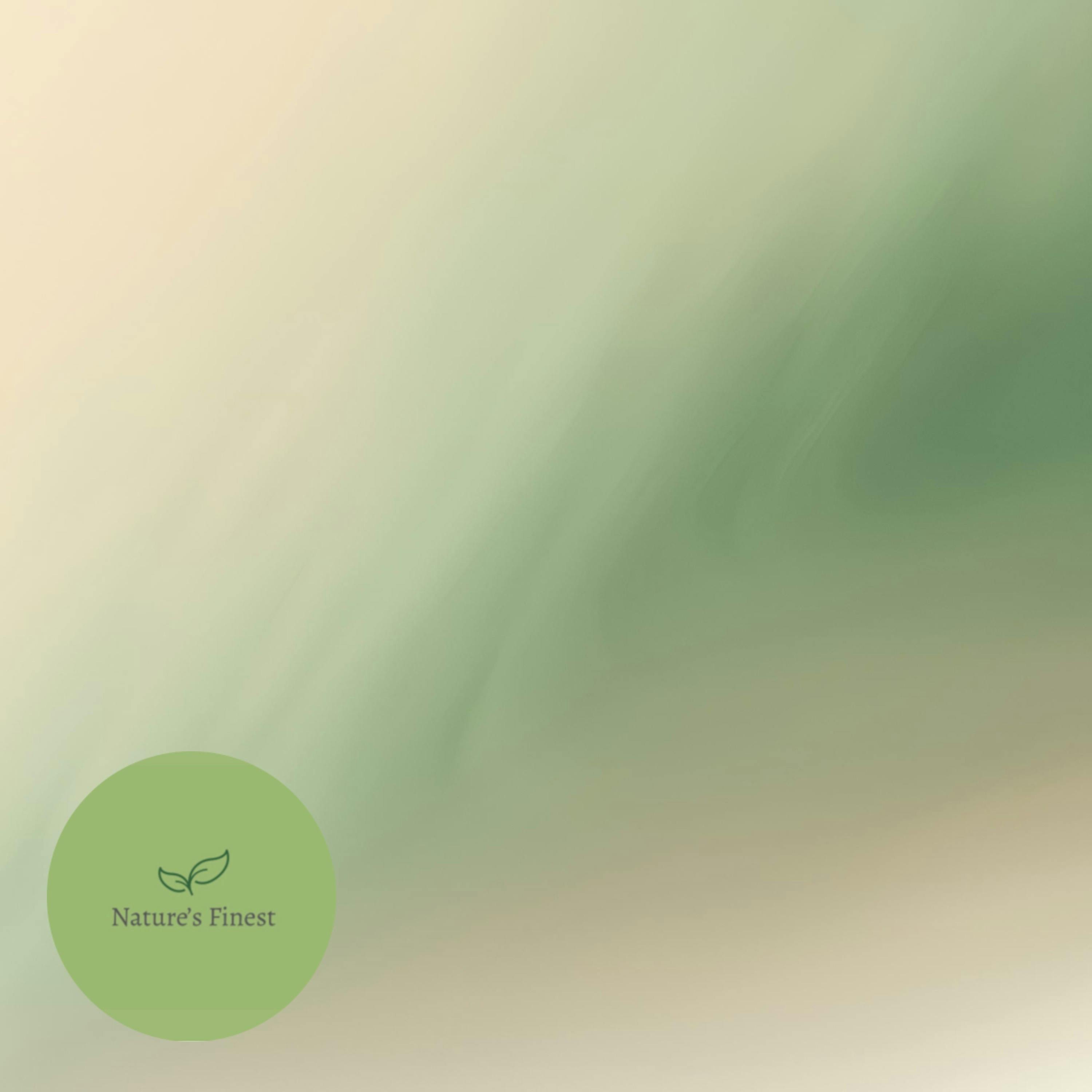 12 Hours Consistent Rainfall | White Noise for Sleep 12 Hours Consistent Rainfall | White Noise for Sleep