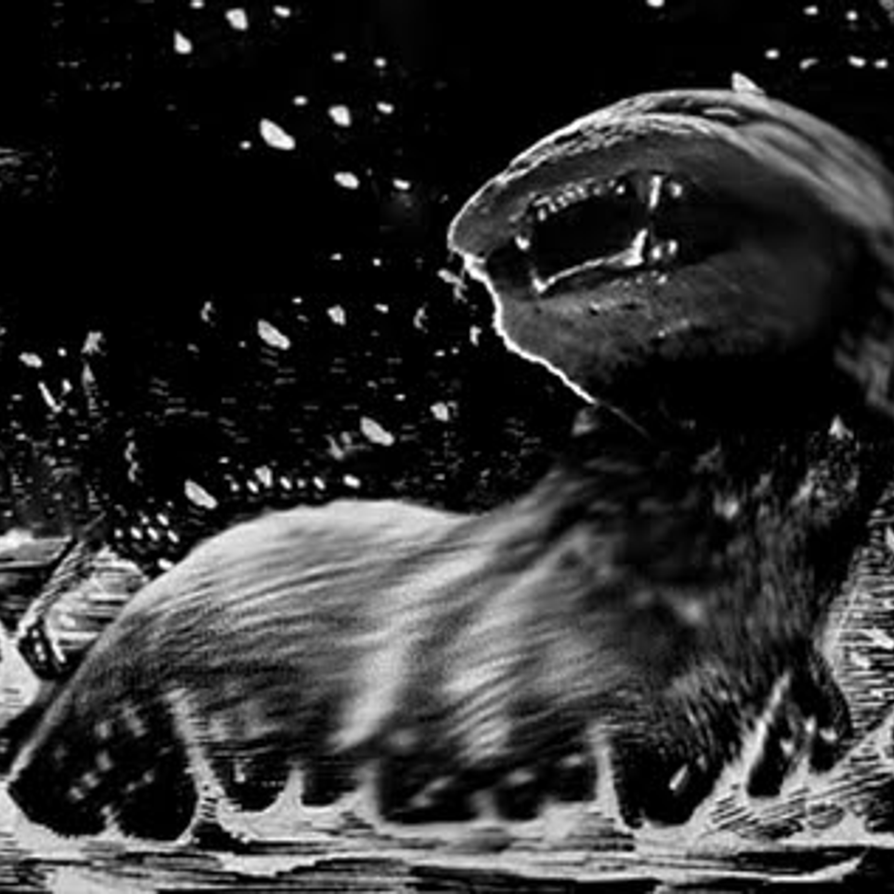 An Dobhar-Chú – The Beasht of Lake Glenade podcast artwork