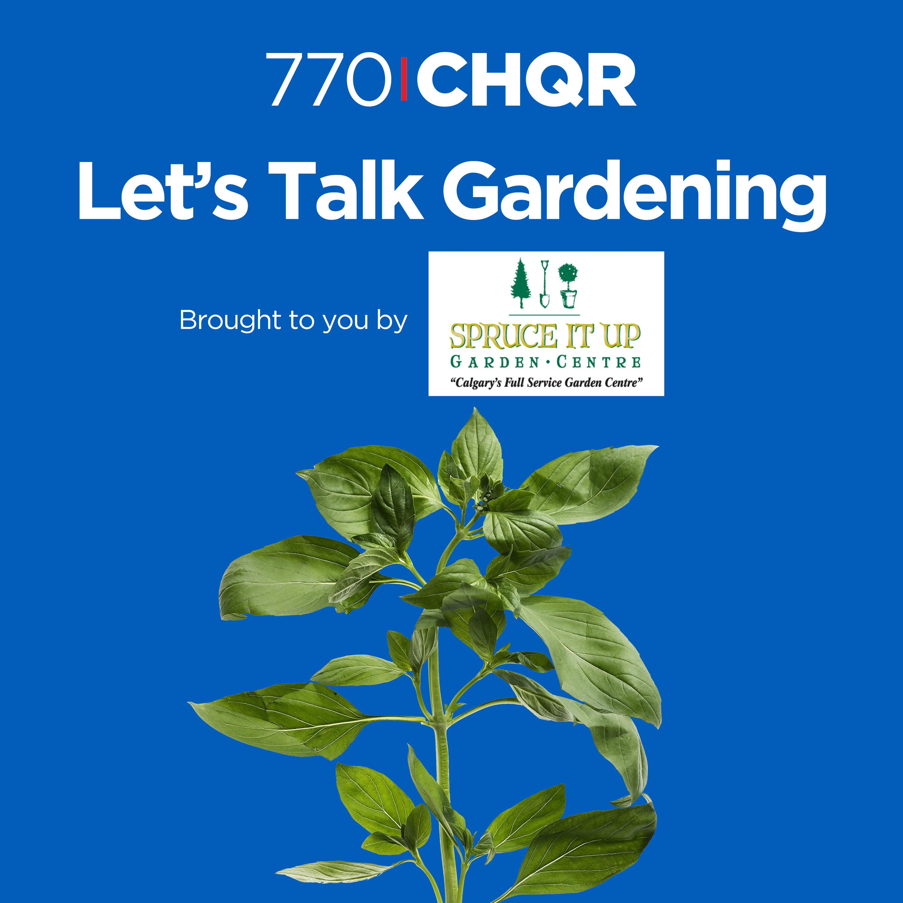 Let's Talk Gardening Podcast - 2021-11-21 episode artwork