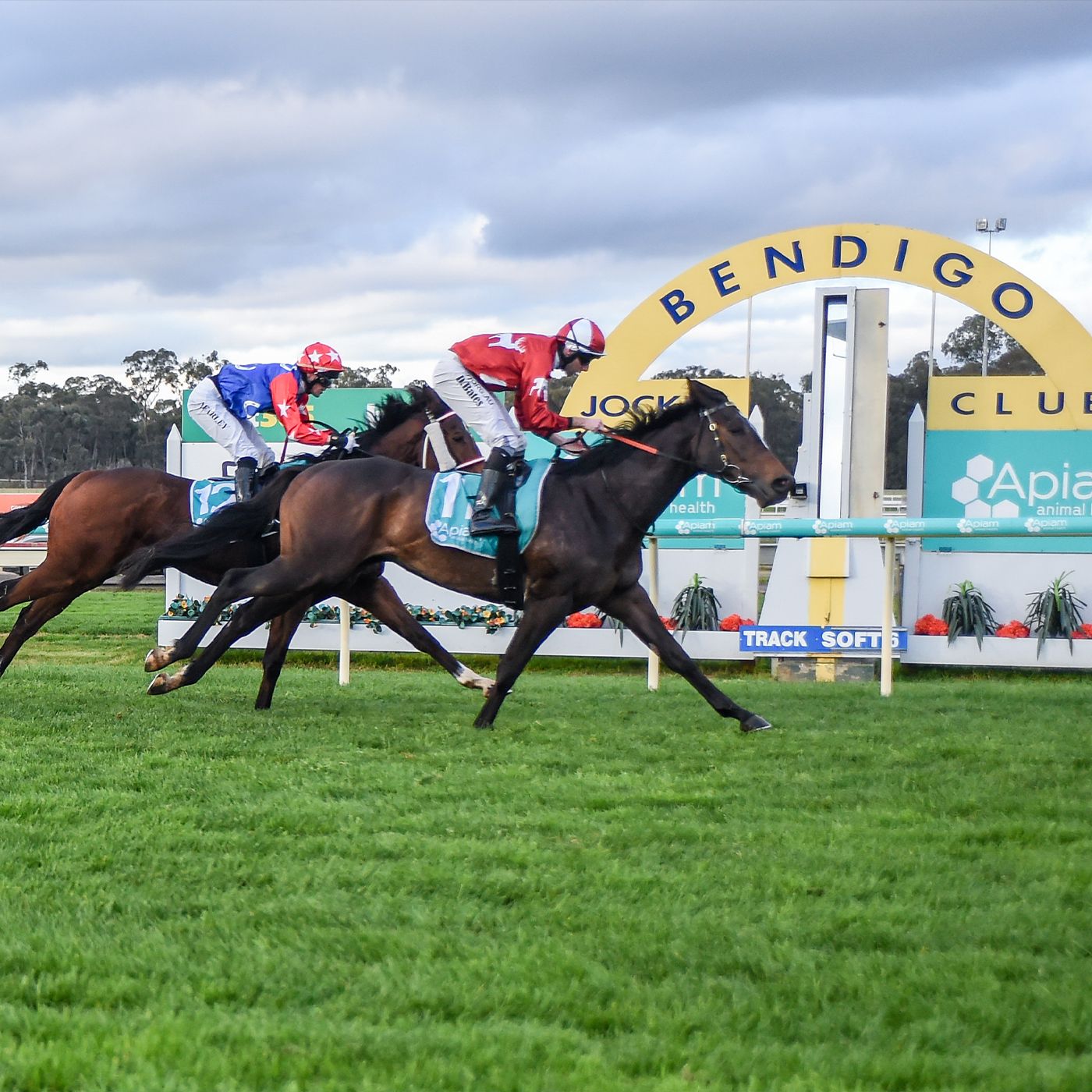 Bendigo Jockey Club's Aaron Hearps chats to Andrew Kuuse re Sundays race meeting & other Bendigo news episode artwork