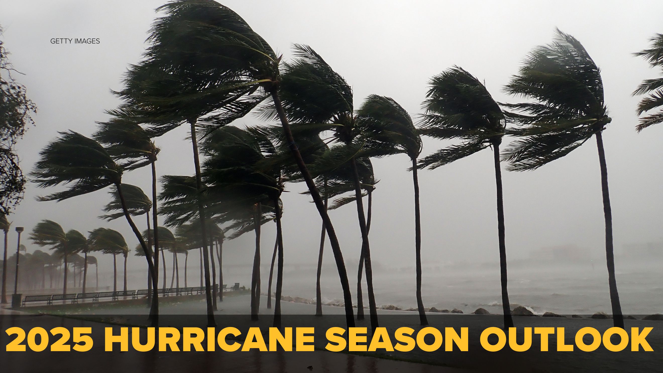 National Hurricane Center director eyes  above-average season | How to prepare