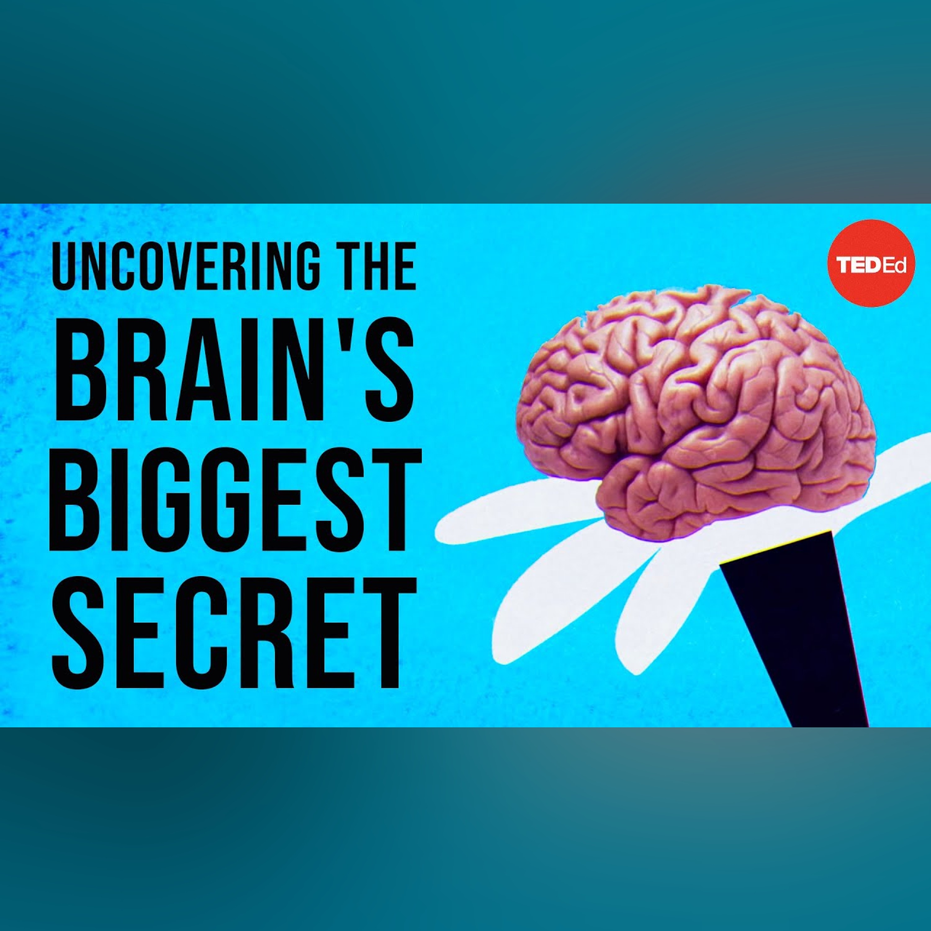Uncovering the brain's biggest secret - Melanie E. Peffer episode artwork