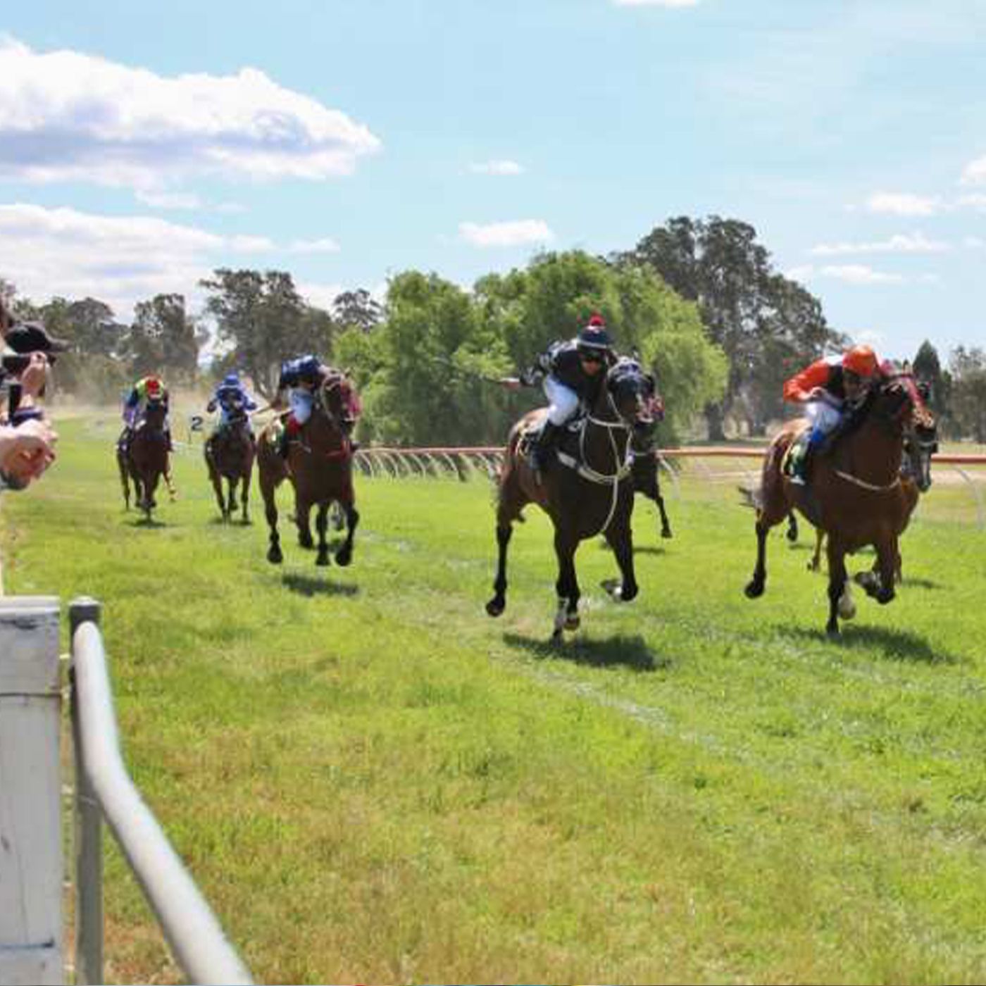 RSN Country Racing Show