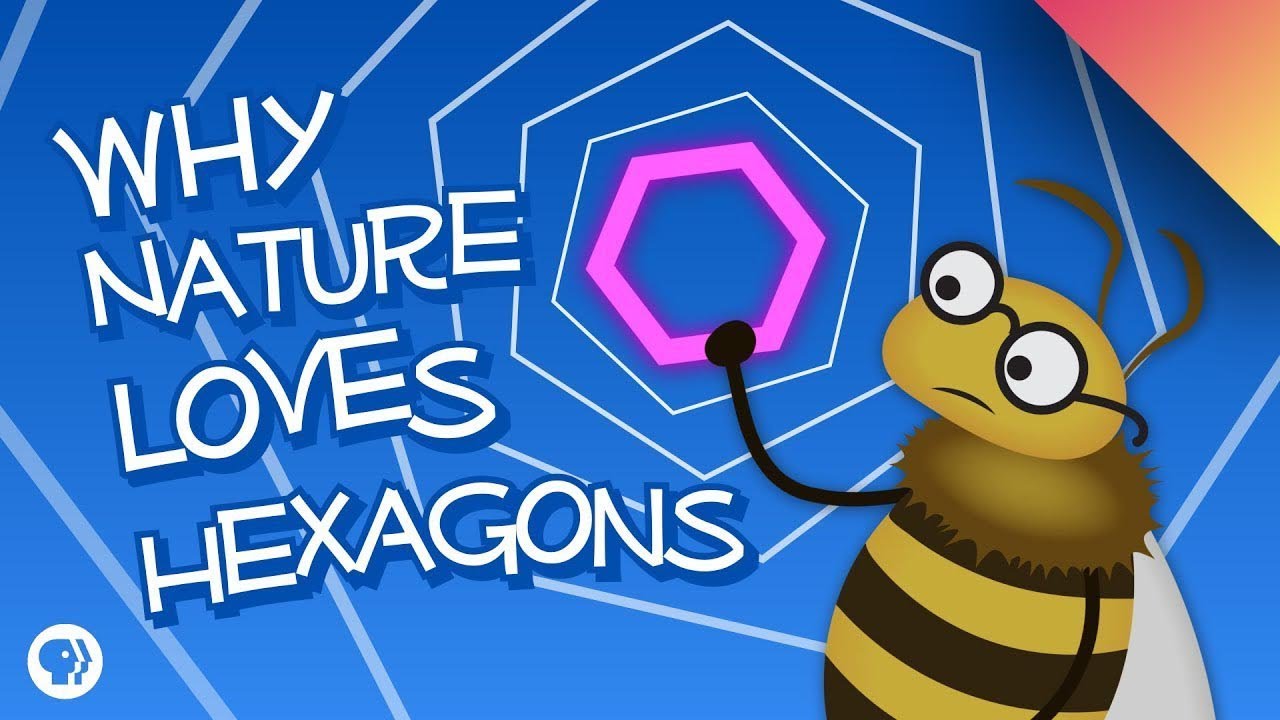 Why Nature Loves Hexagons episode artwork