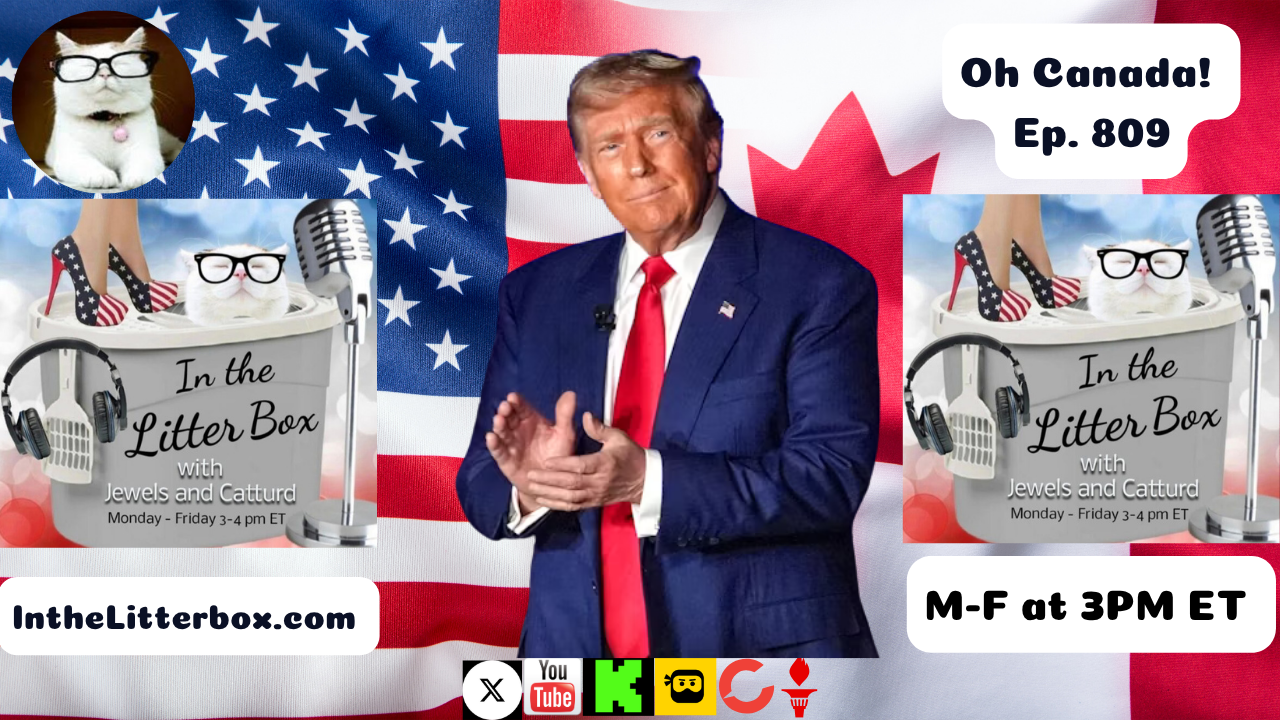 Oh Canada! | In the Litter Box w/ Jewels & Catturd – Ep. 809 – 5/28/2025
