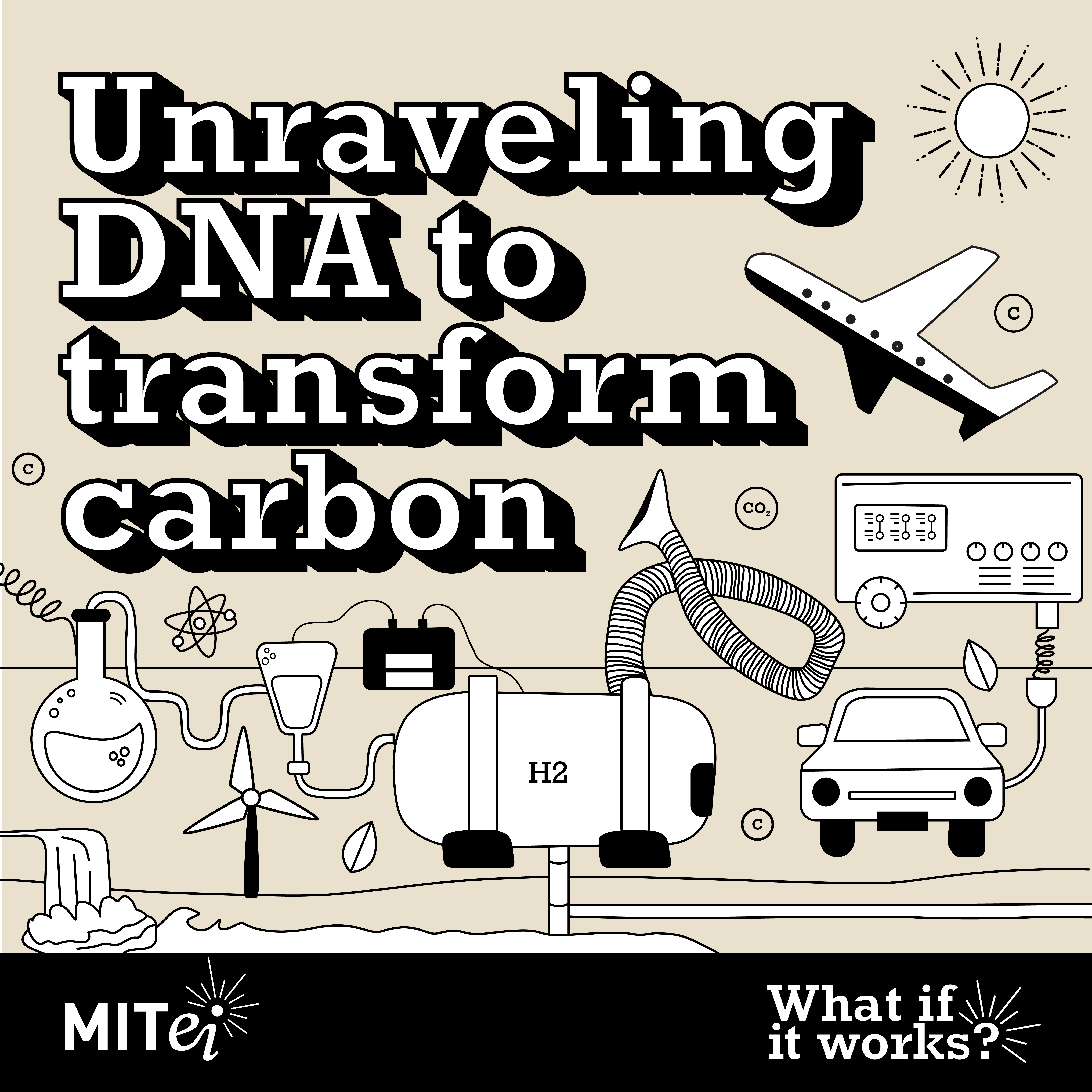 MIT: Unraveling DNA to transform carbon