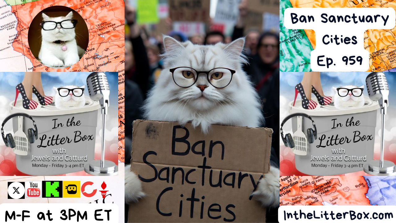 Ban Sanctuary Cities | In the Litter Box w/ Jewels Jones & Catturd – Ep. 959 – 1/28/2026