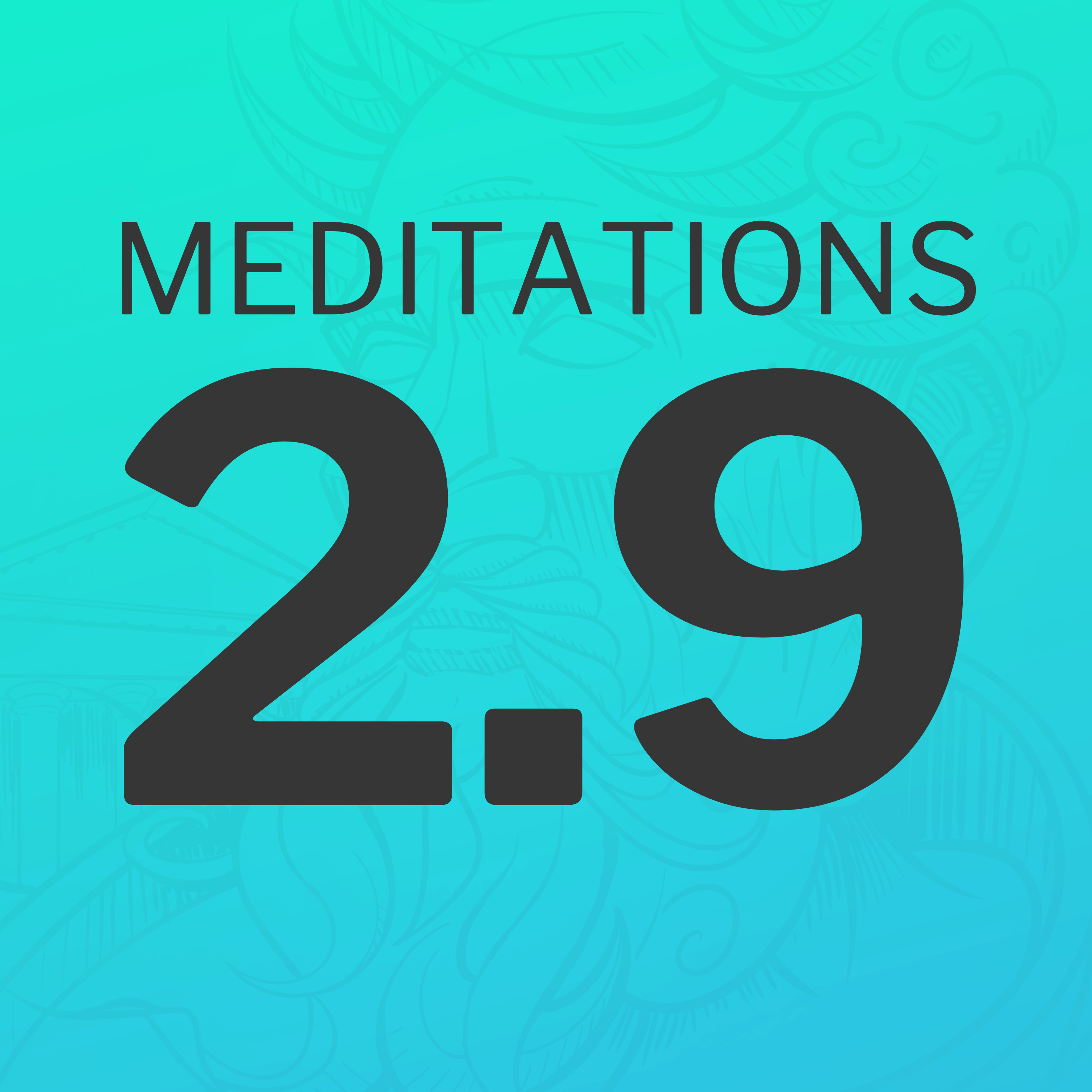 Embracing The Logic Of The Cosmos (Meditations 2.9)