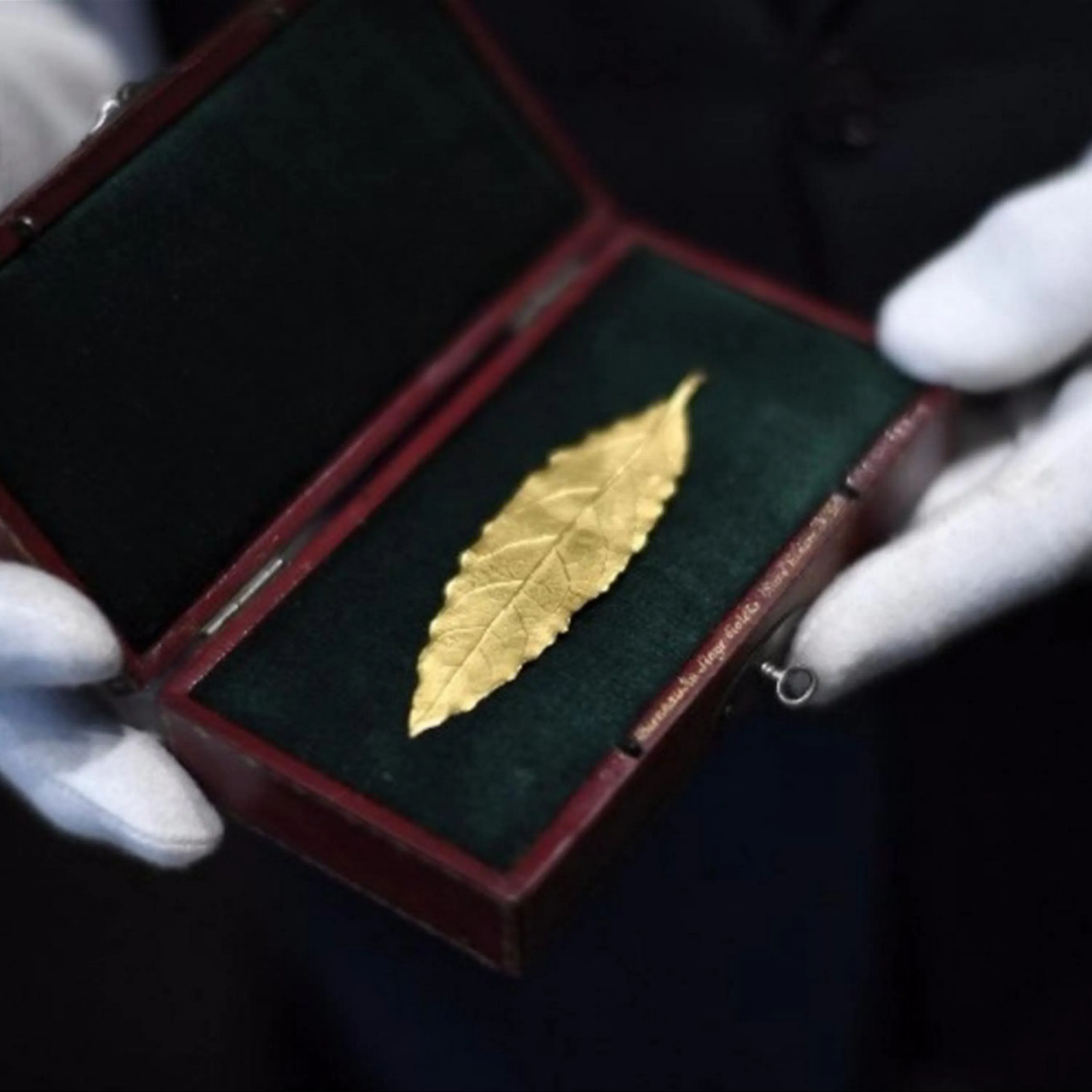 Qu’est-ce que la Napoléon Mania ?