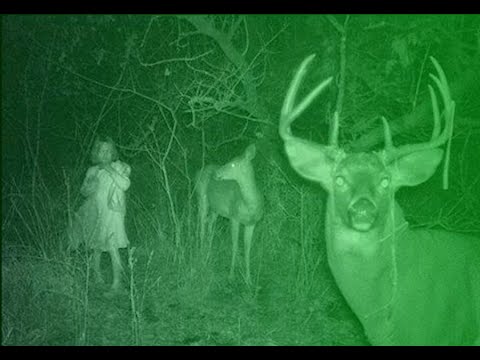 3 Horrifying TRUE Hunting Stories to Freak you Out episode artwork