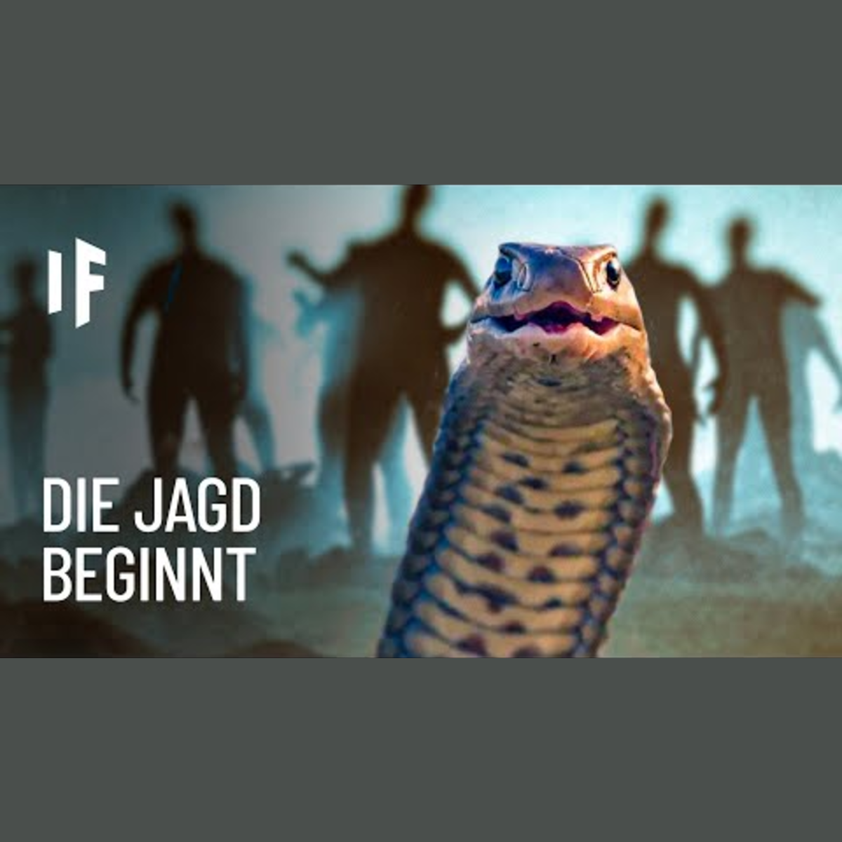 Was wäre, wenn wir alle Schlangen töten? episode artwork