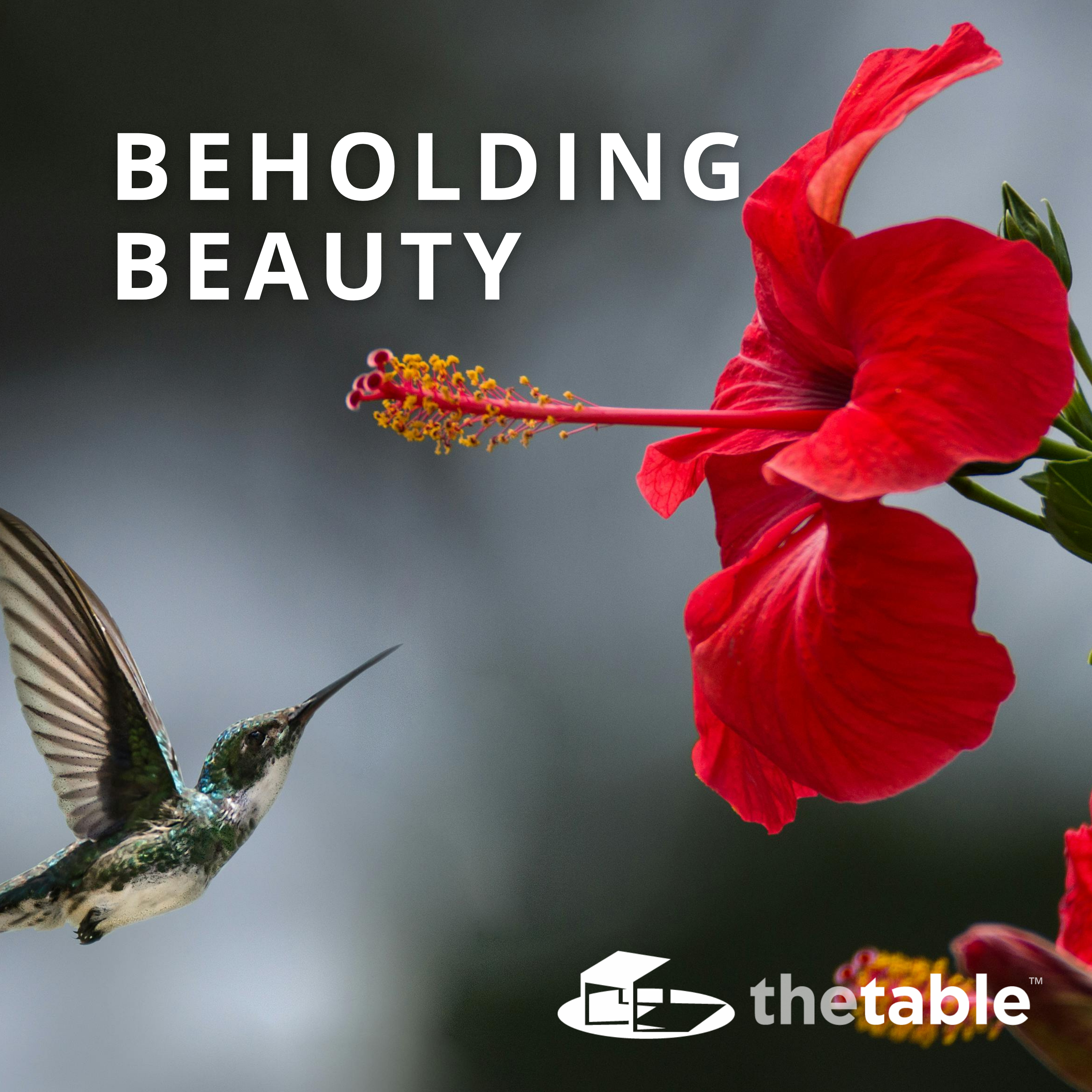 Beholding Beauty episode artwork