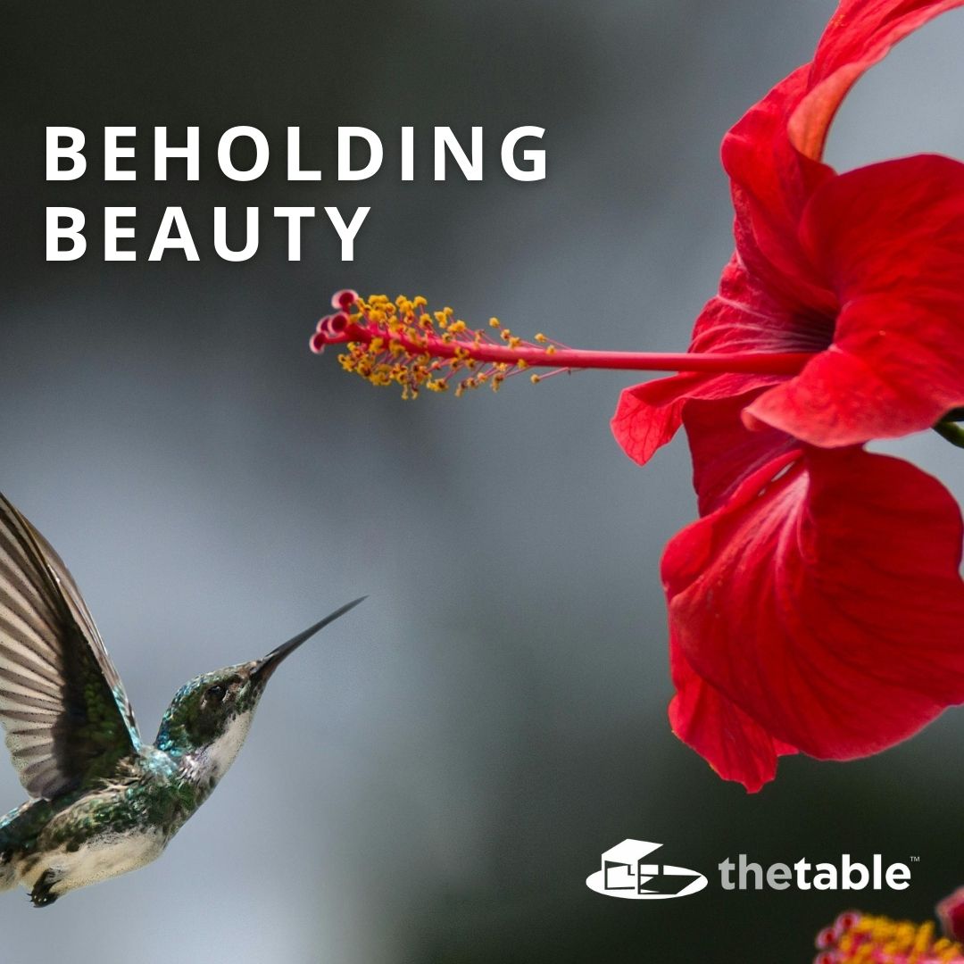 Beholding Beauty