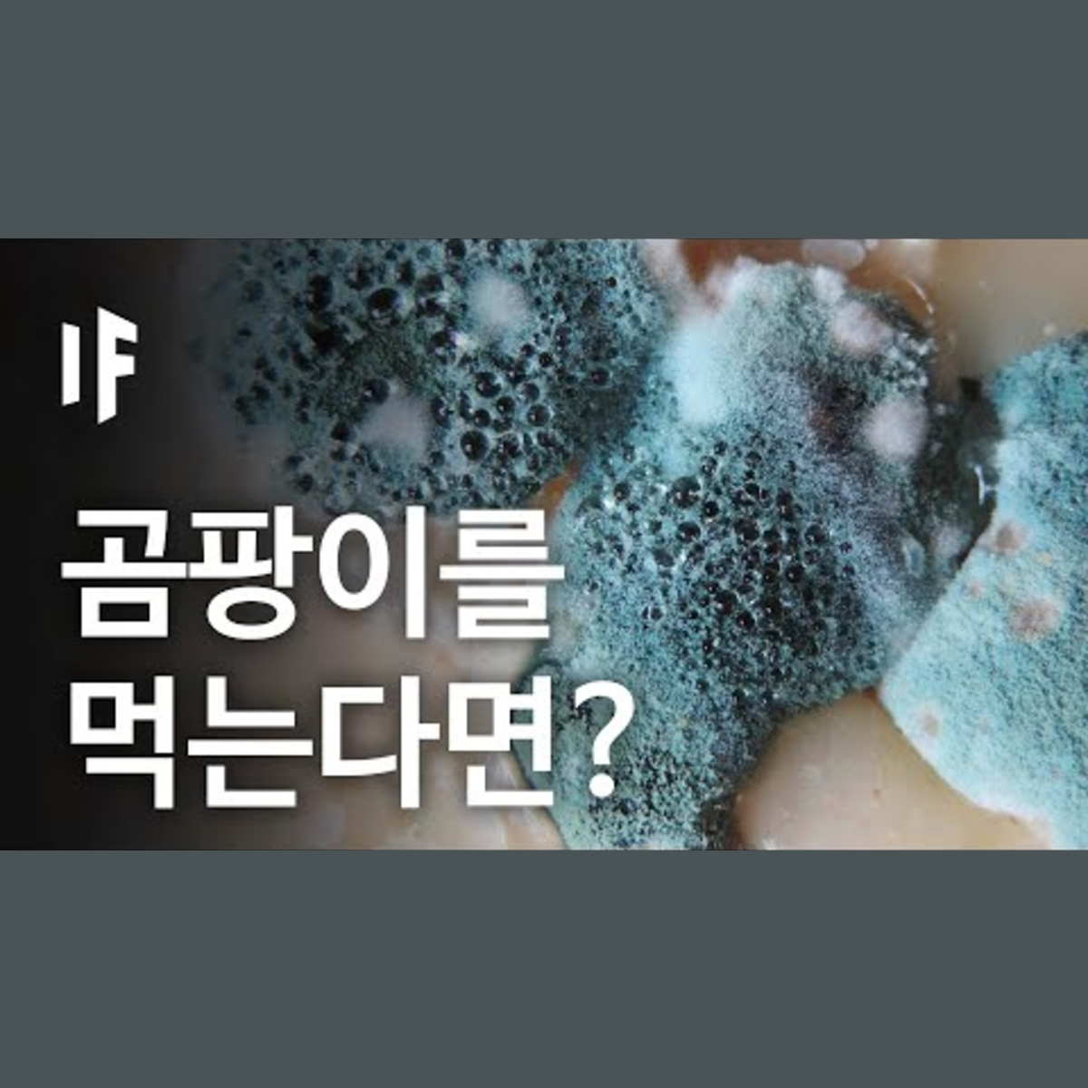 만약에 곰팡이를 먹었다면? | 만약에 What If Korea episode artwork