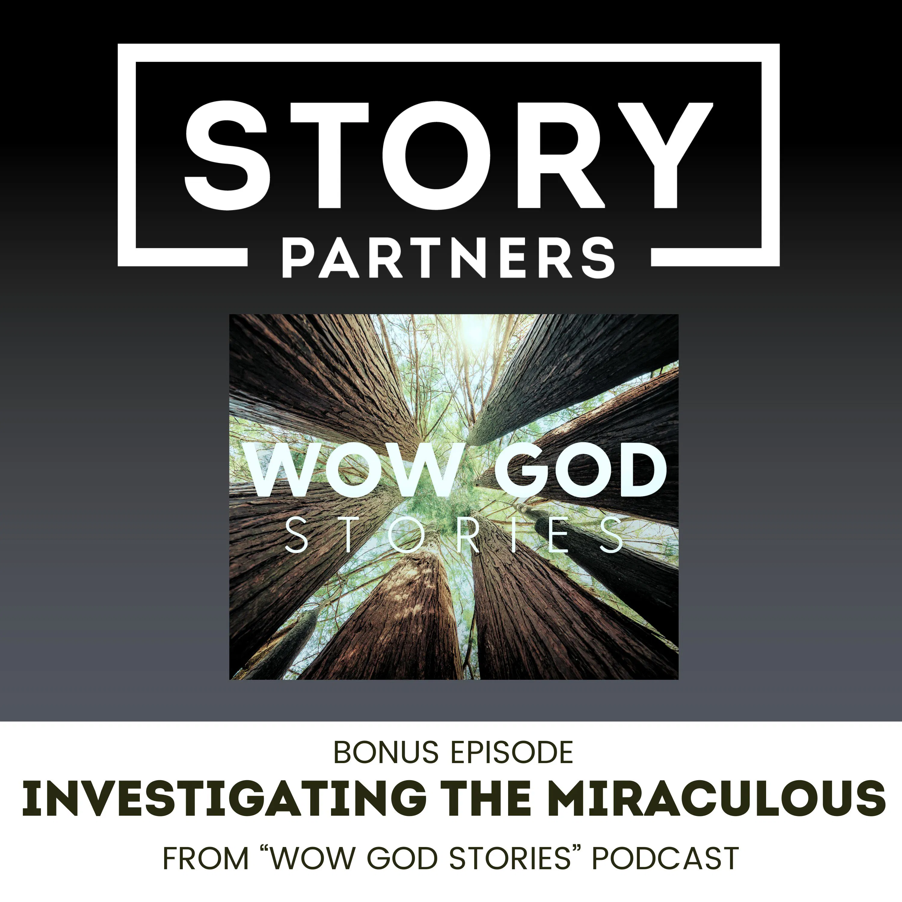 Bonus Episode - Investigating the Miraculous episode artwork