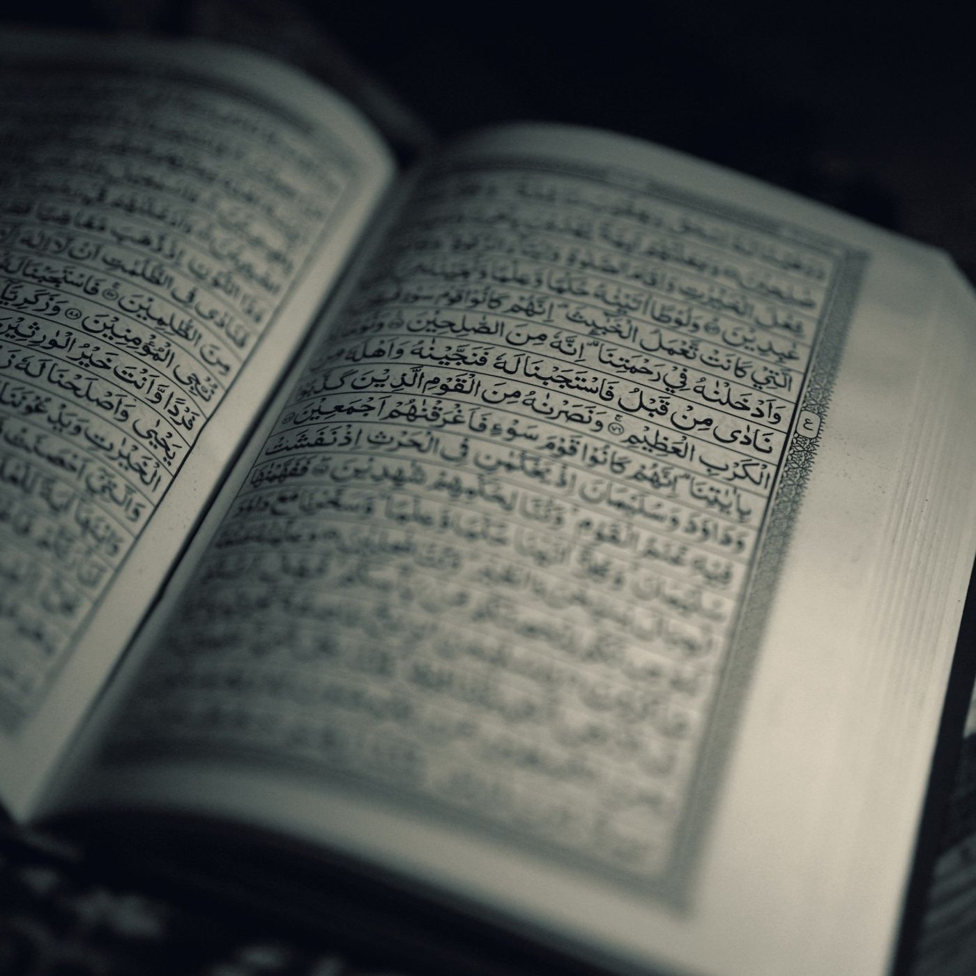 Surah Al Naml - Yusuf Al Soqier episode artwork