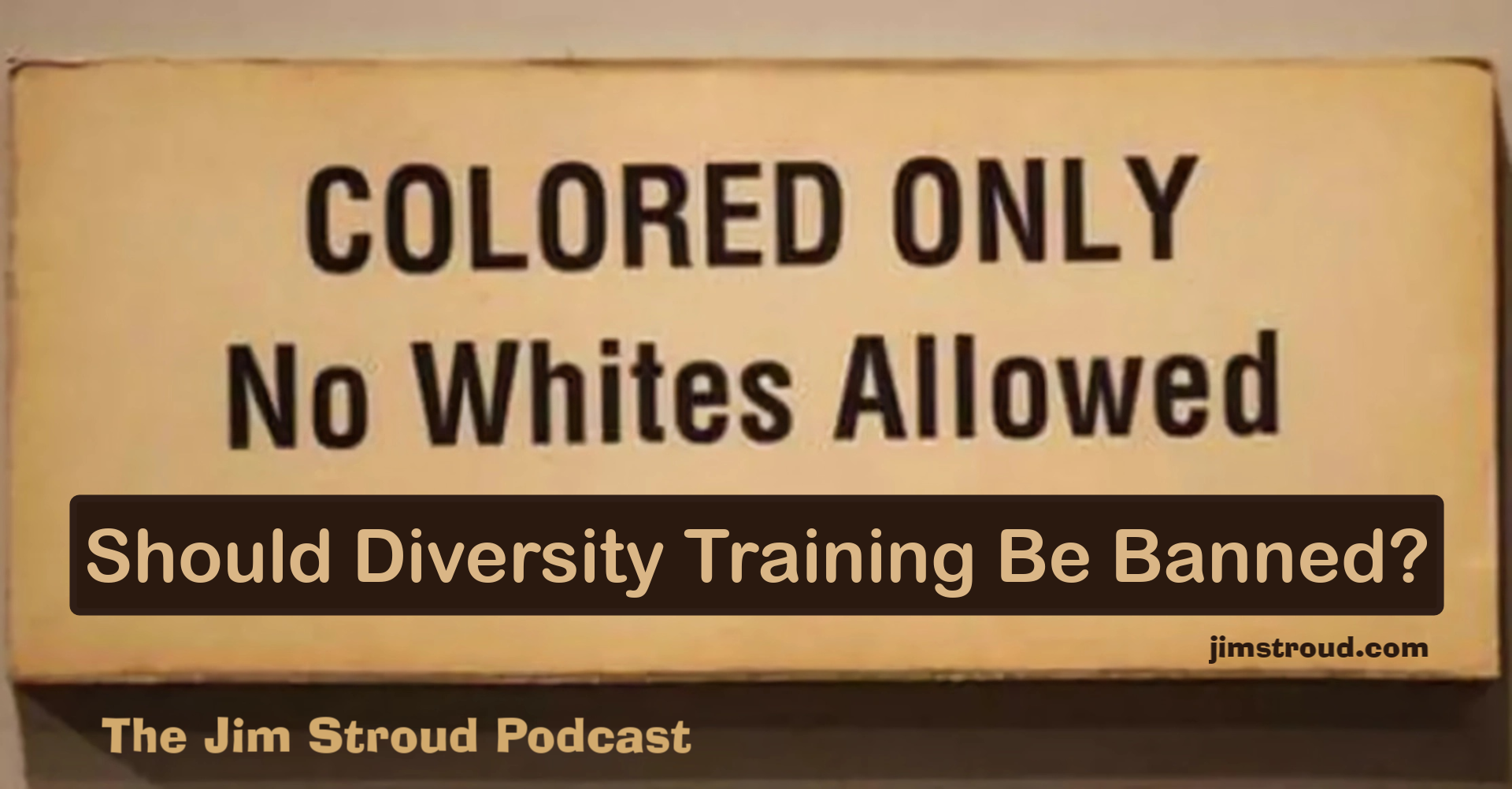 Should diversity training be banned?