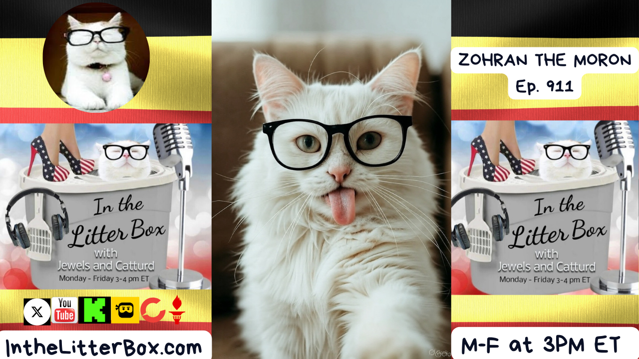 ZOHRAN THE MORON | In the Litter Box w/ Jewels & Catturd – Ep. 911 – 10/28/2025