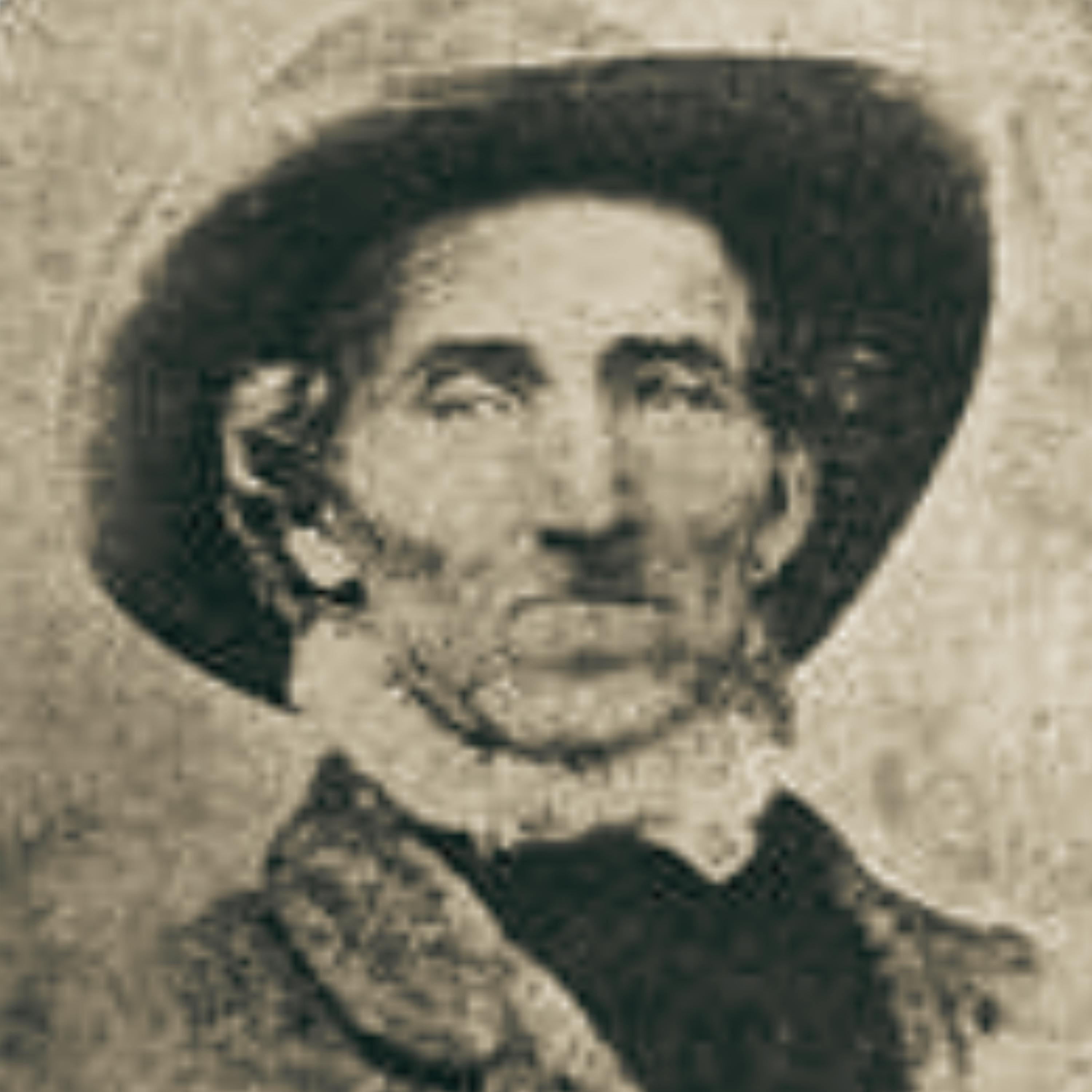 Jack Hinson: Civil War Sniper Jack Hinson: Civil War Sniper