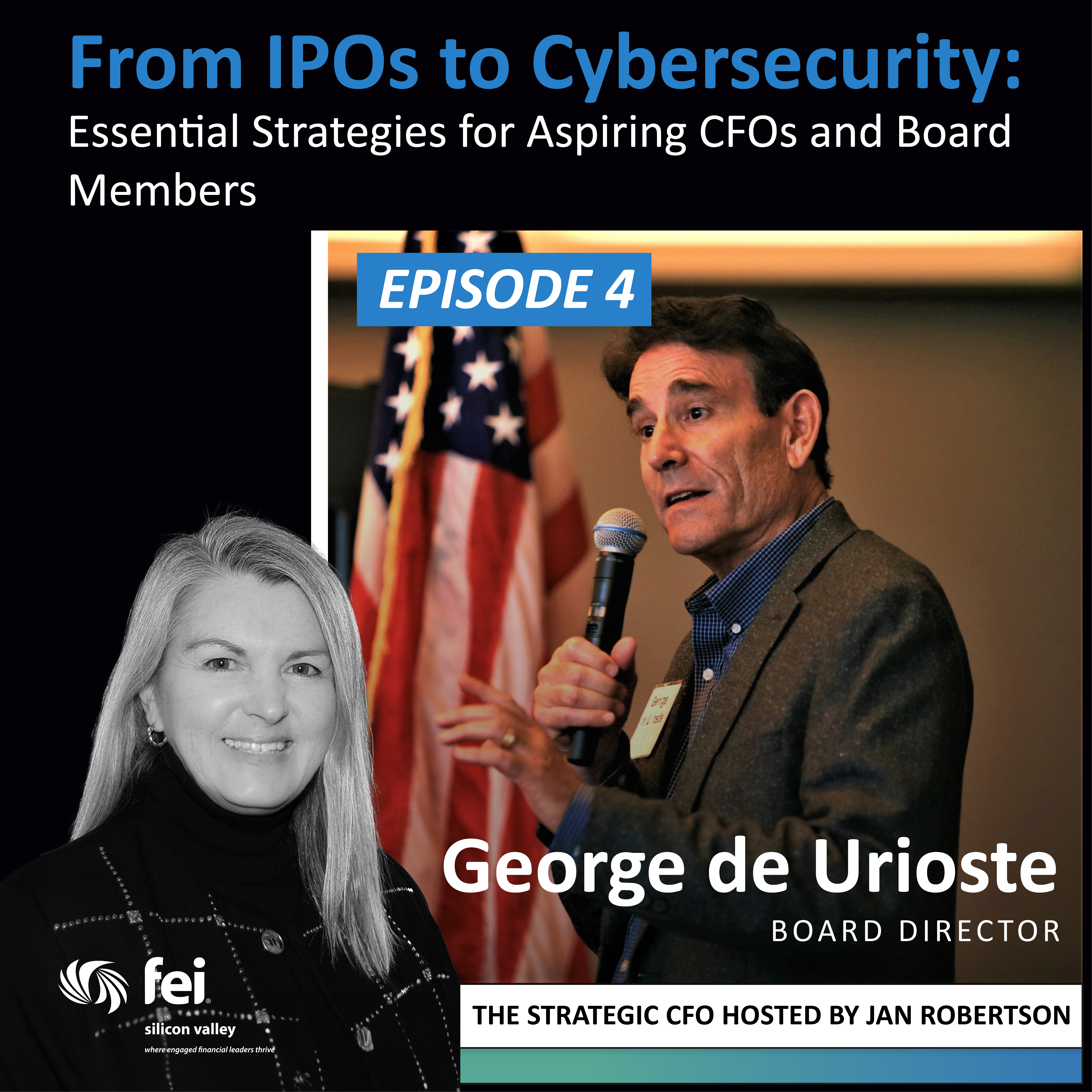 The Strategic CFO by FEI