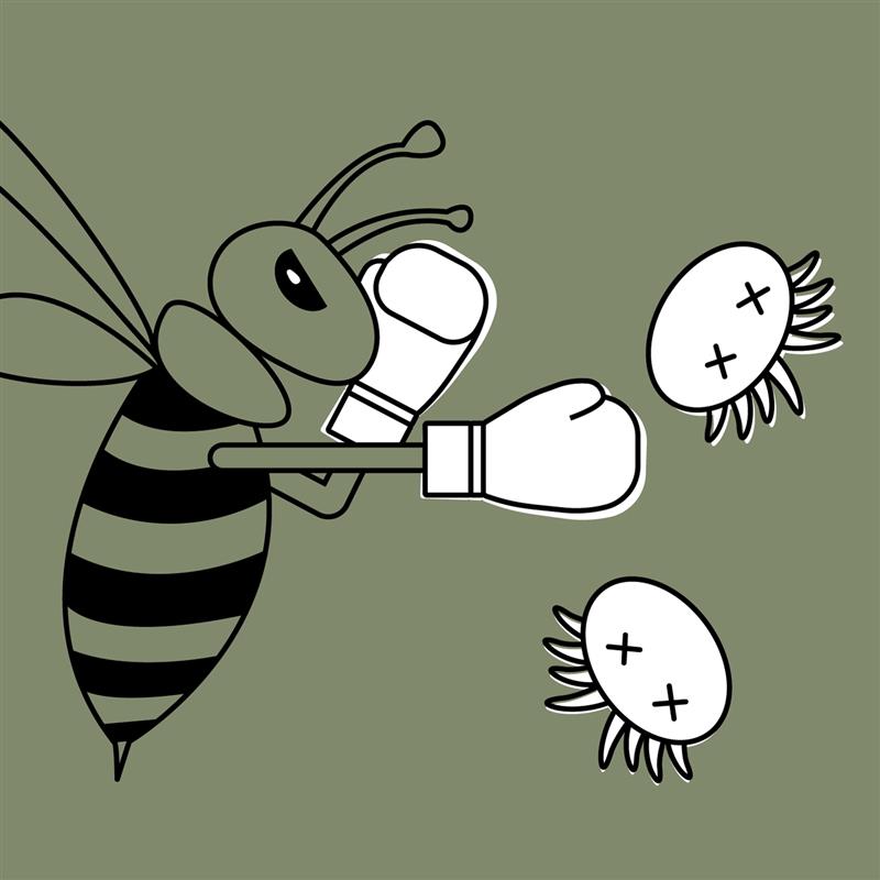 Lutter contre Varroa