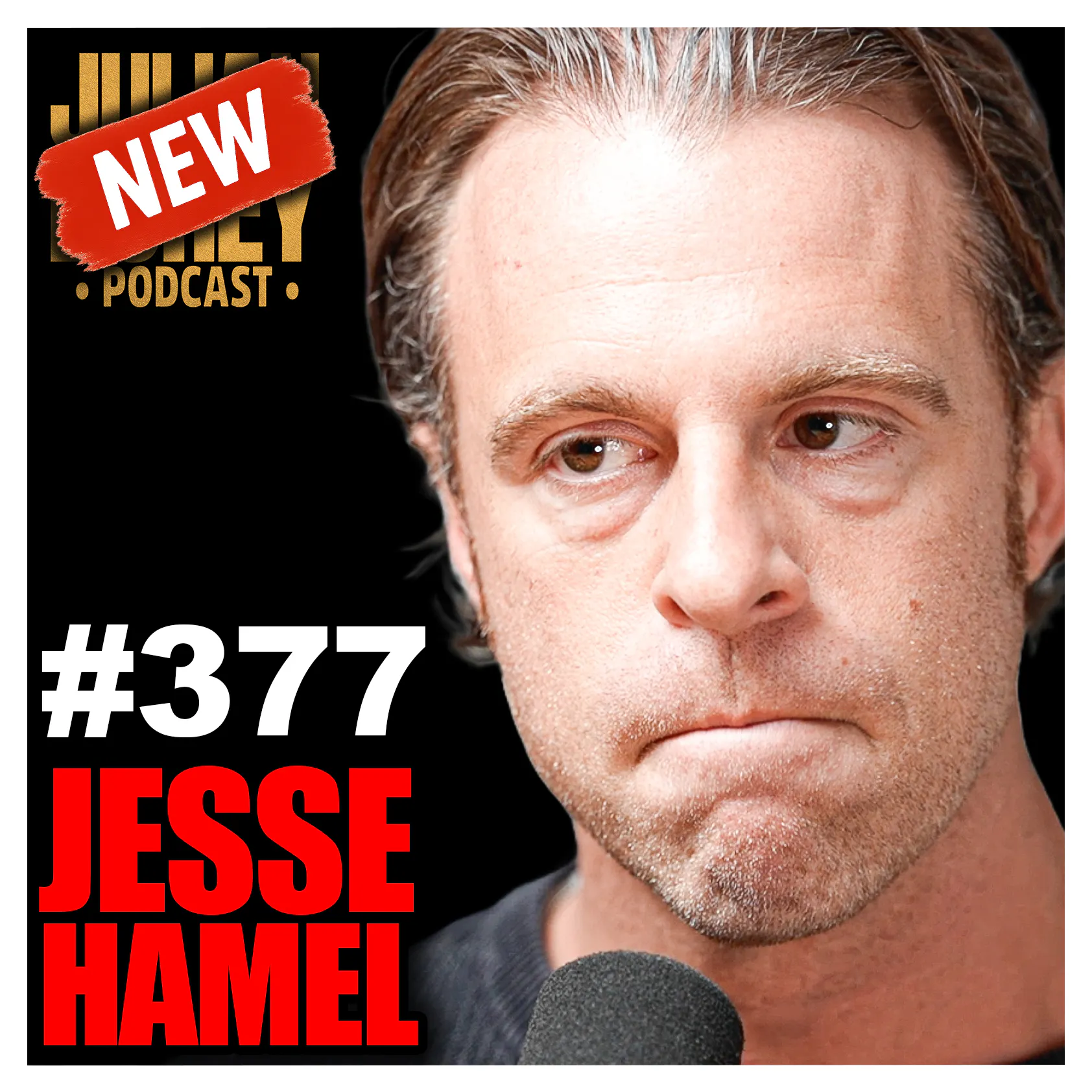#377 - "First Kill!" - Palantir, Nuclear War, Bio-Hybrids & AC-130 Bombing | Jesse Hamel — Julian Dorey Podcast cover