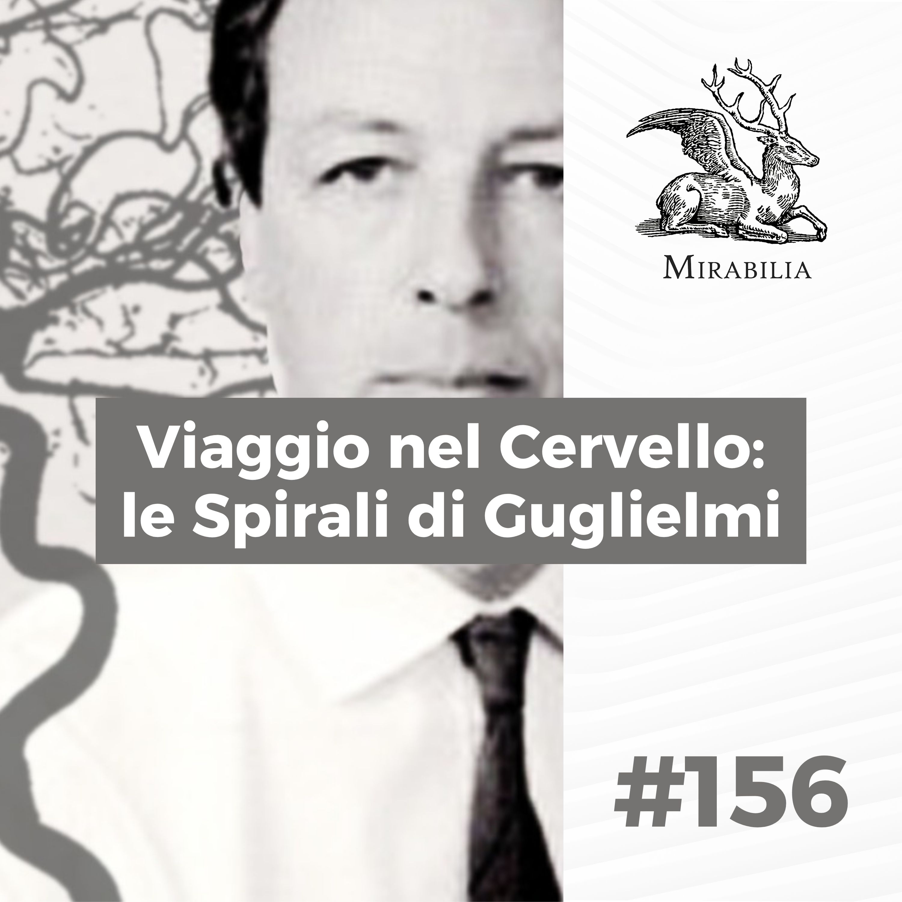 156. Viaggio nel Cervello: le Spirali di Guglielmi