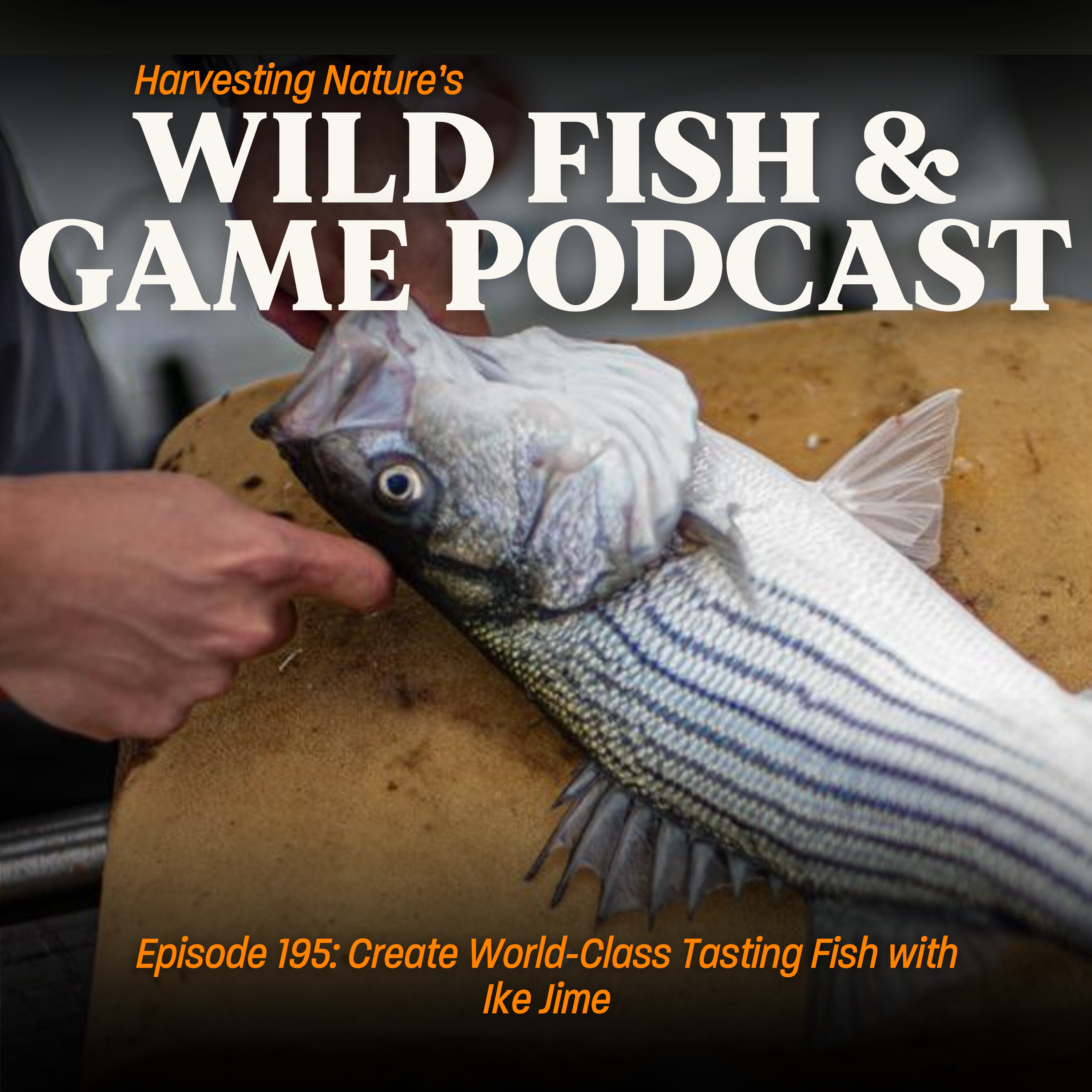 Episode 195: Create World-Class Tasting Fish with Ike Jime