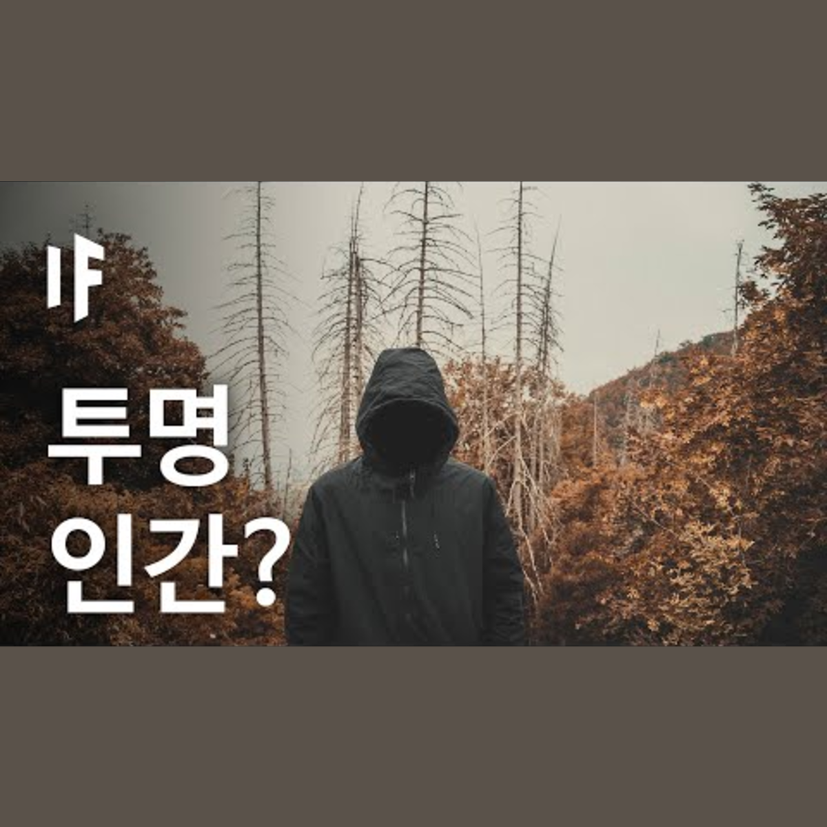 만약에 투명인간이 될 수 있다면? | 만약에 What If Korea episode artwork