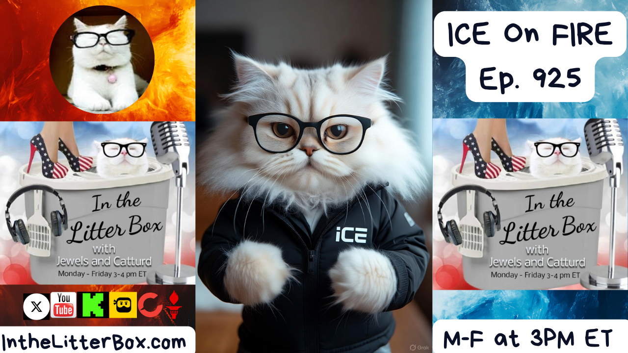 ICE On FIRE | In the Litter Box w/ Jewels & Catturd – Ep. 925 – 11/18/2025