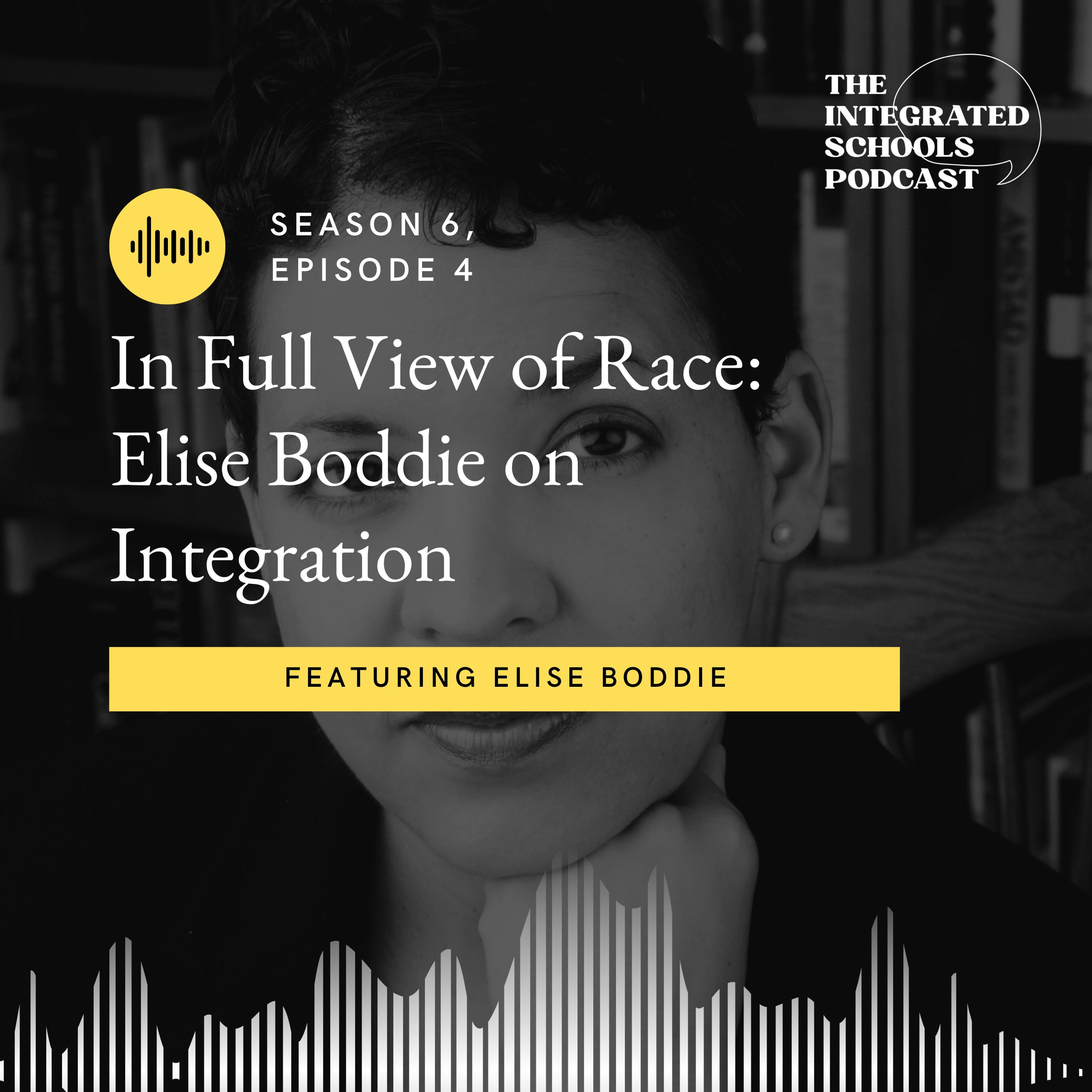 In Full View of Race: Elise Boddie on Integration