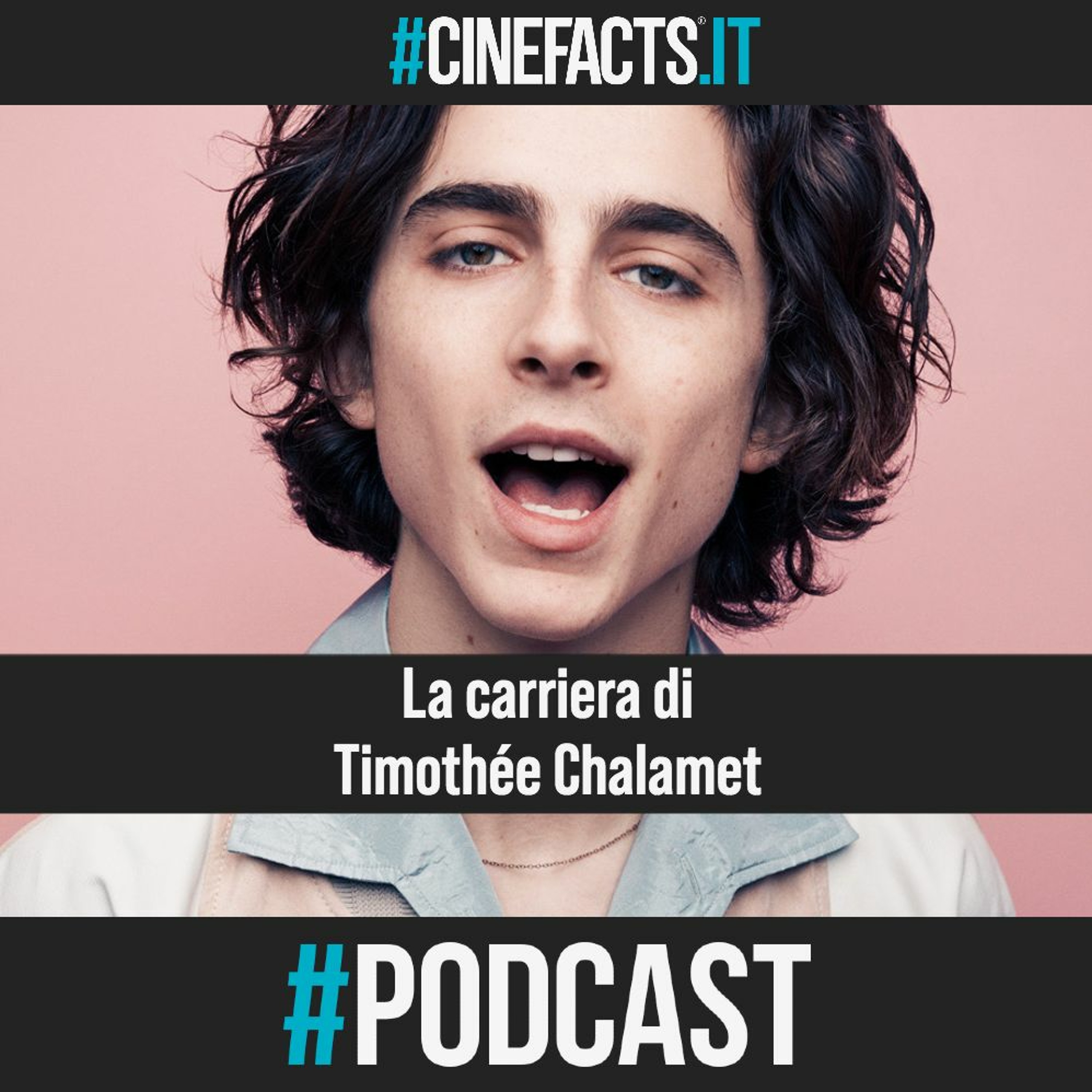La carriera di Timothée Chalamet - Articolo