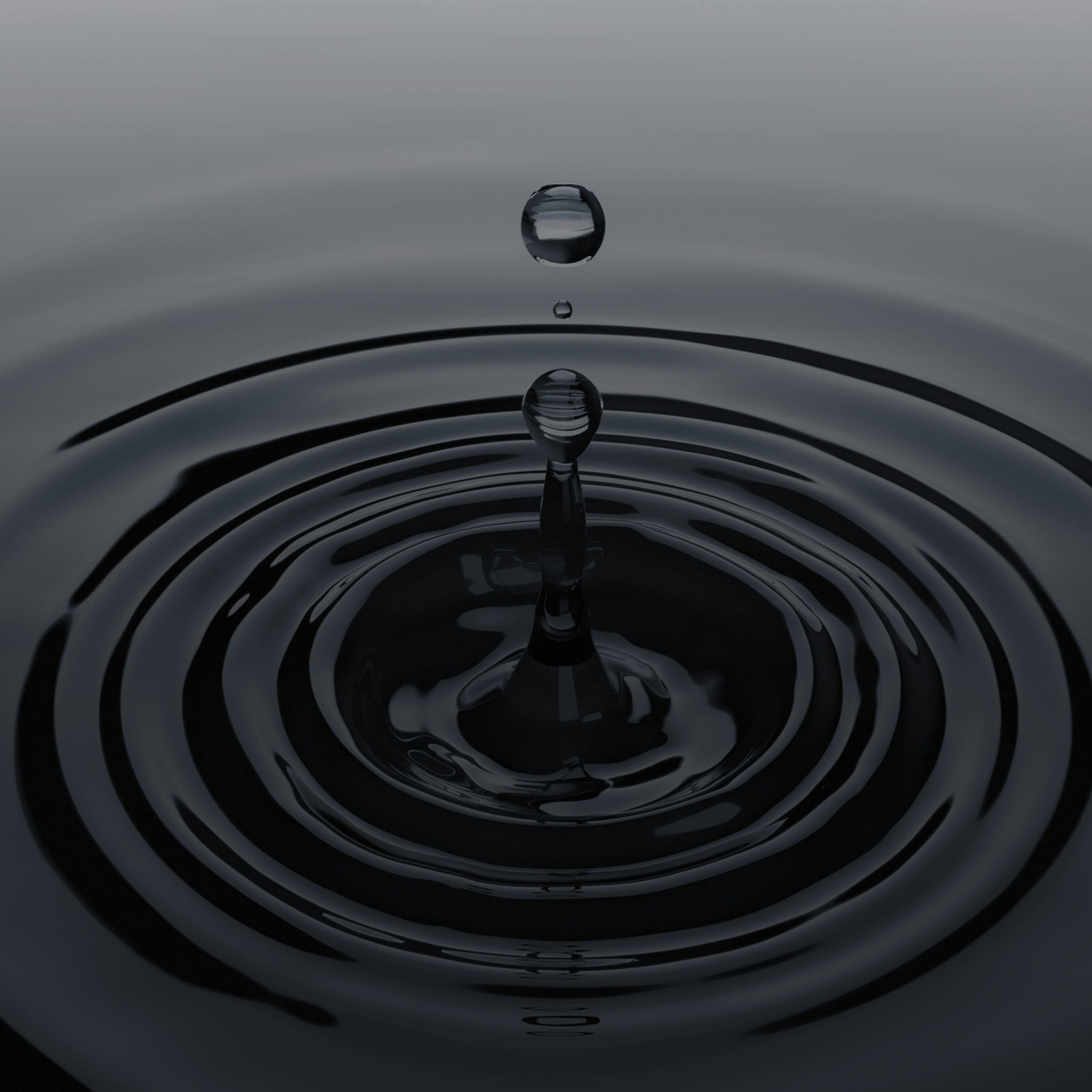 Update: Ripple Effects