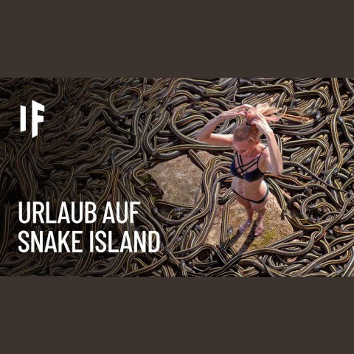 Was wäre, wenn du einen Monat auf Snake Island verbringst? episode artwork