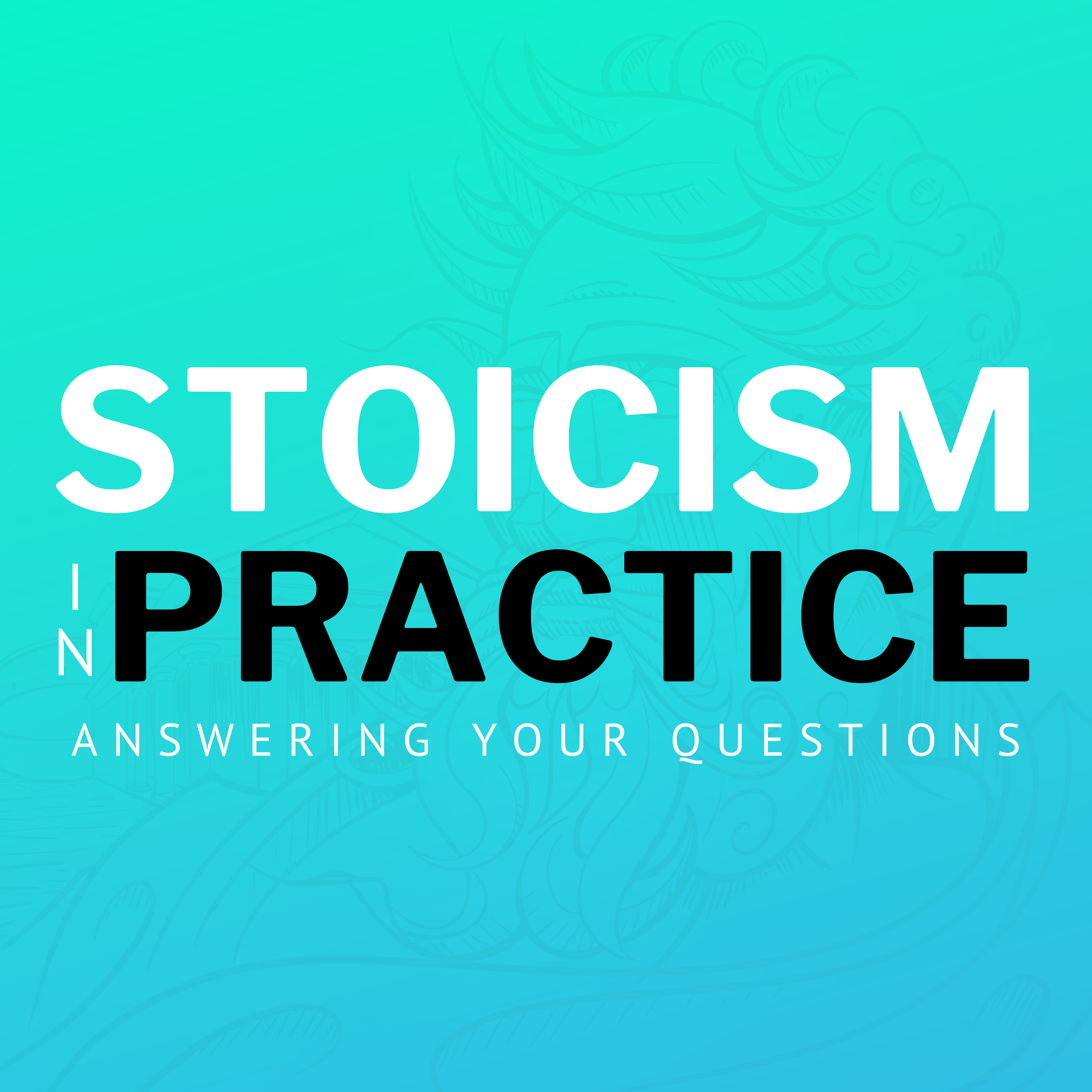 Stoicism In Practice (February '24) – Practical Stoicism – Podcast ...