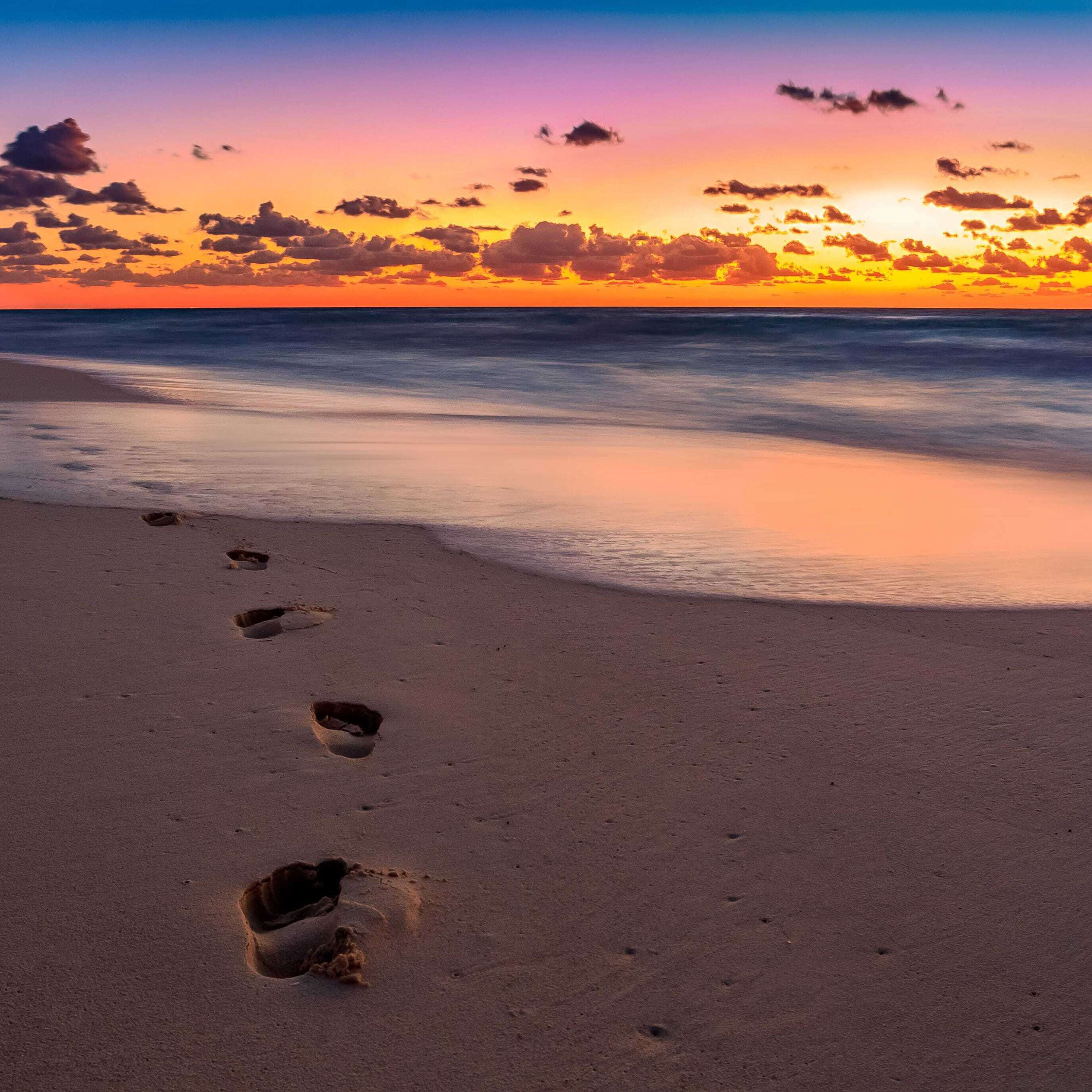 The Dr. Lee Warren Podcast