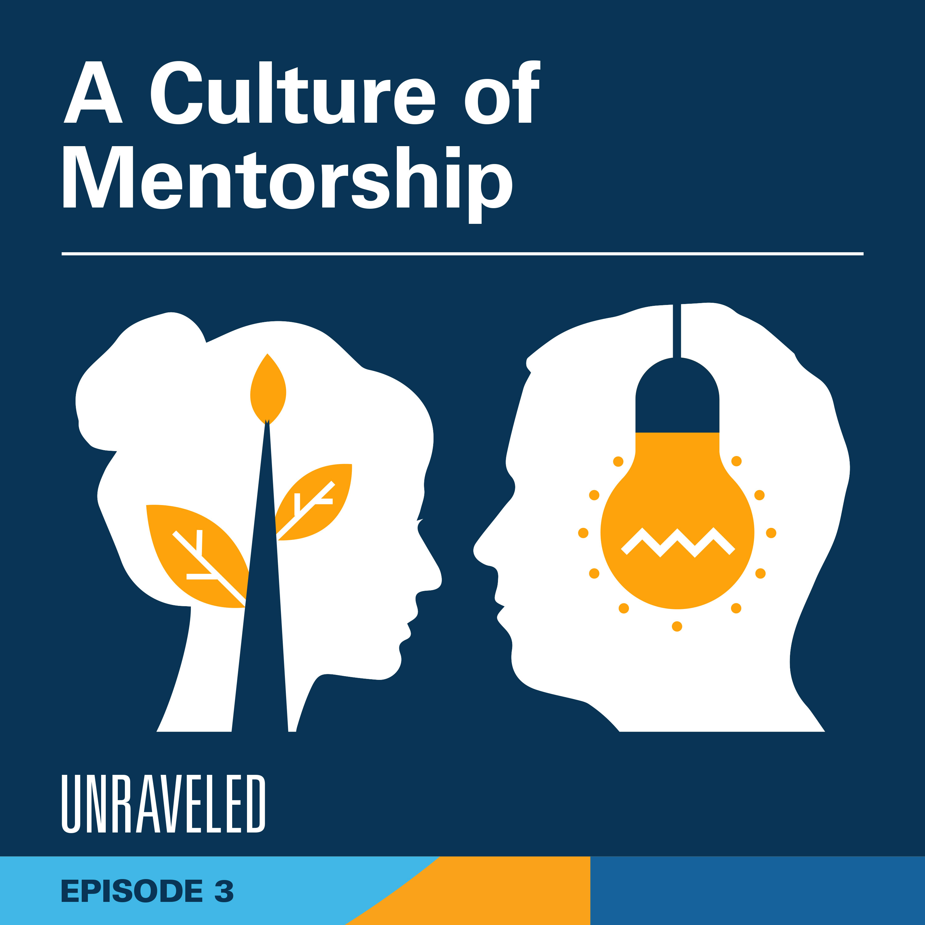 Episode 3: The Culture of Mentorship