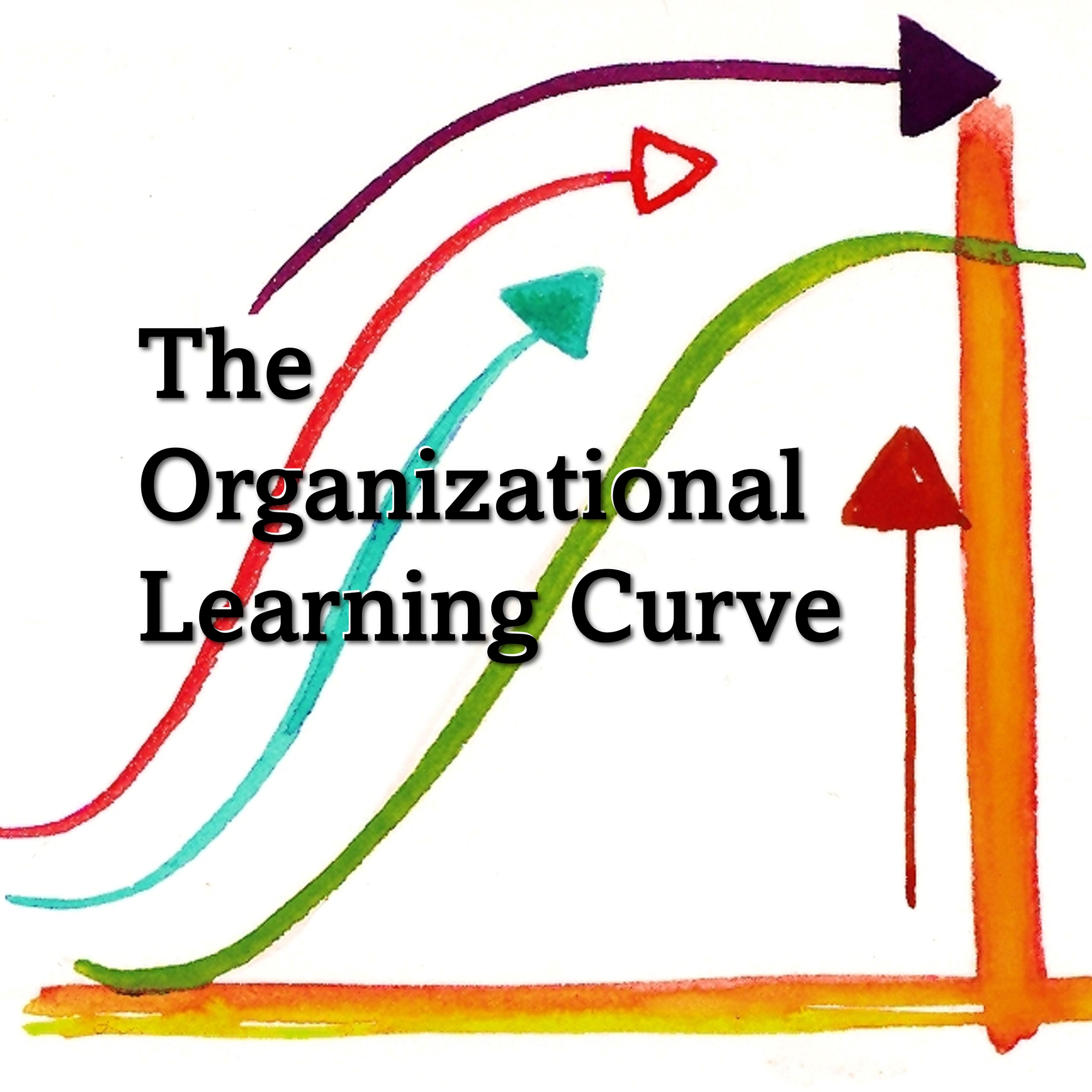 The Organizational Learning Curve