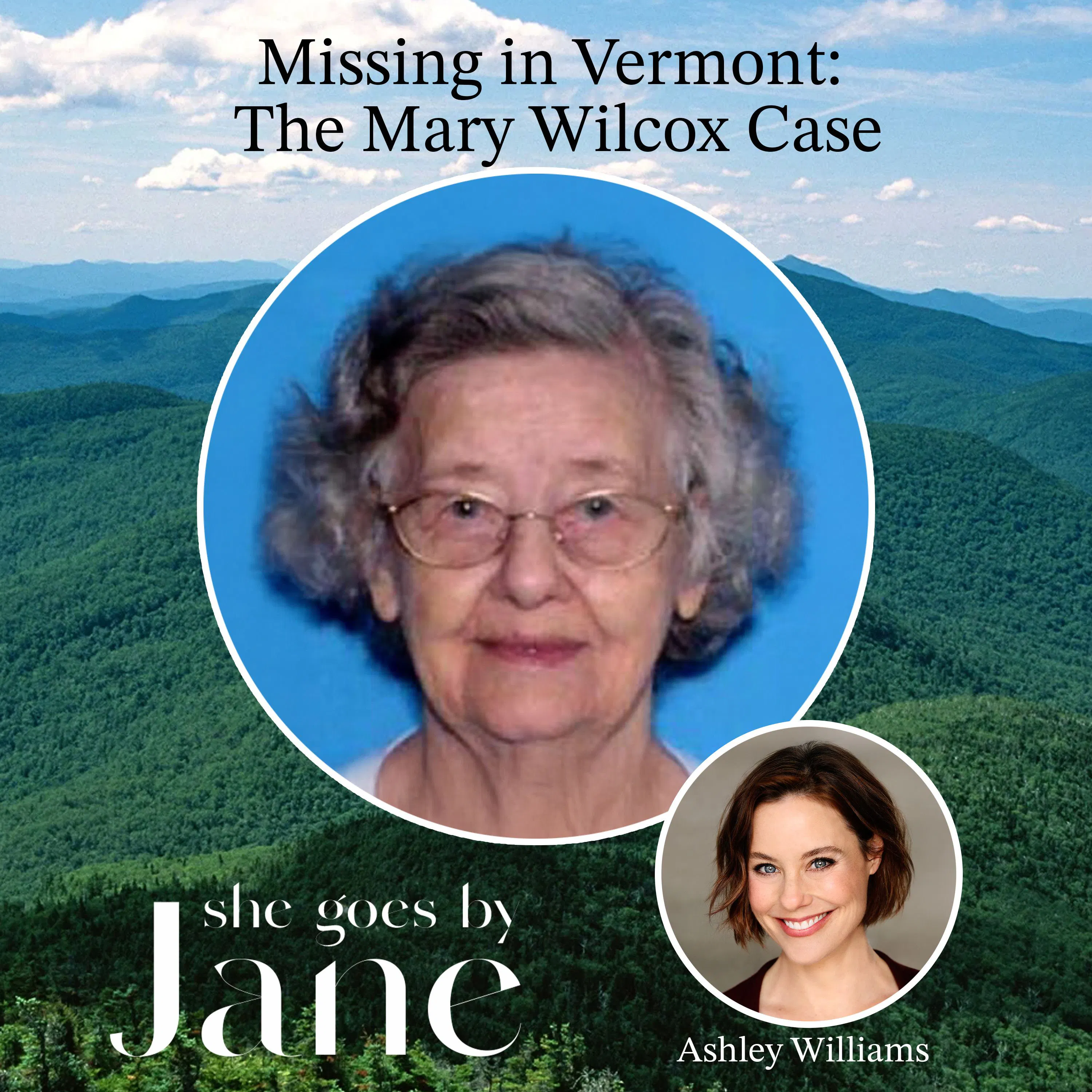 113: Missing in Vermont: The Mary Wilcox Case