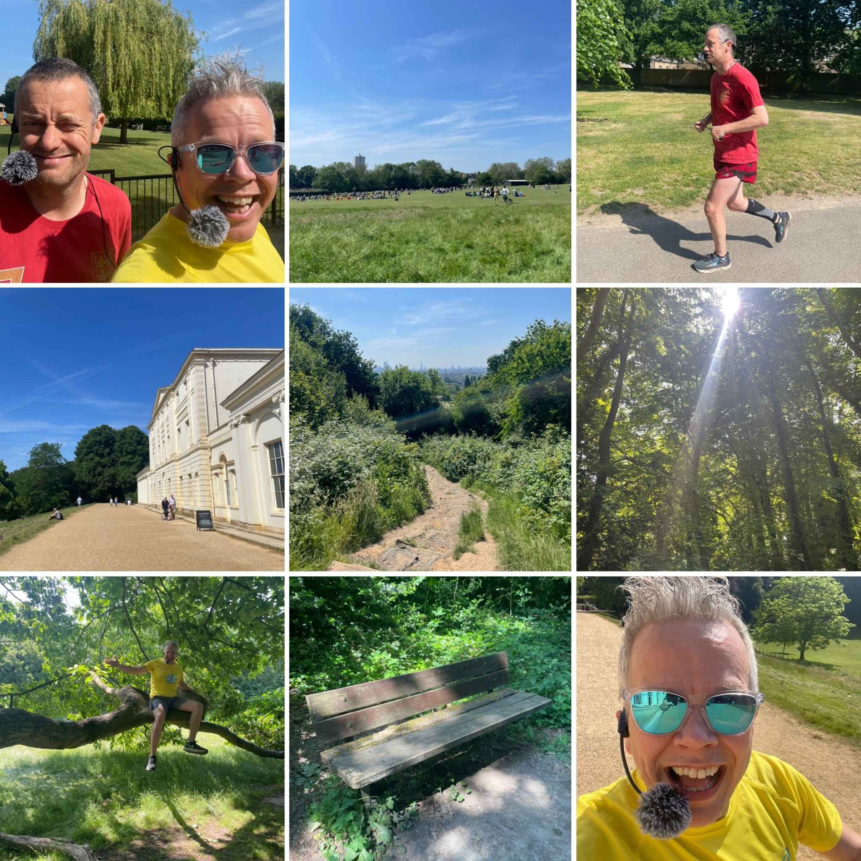 Reminiscences On A Sun-kissed Heath