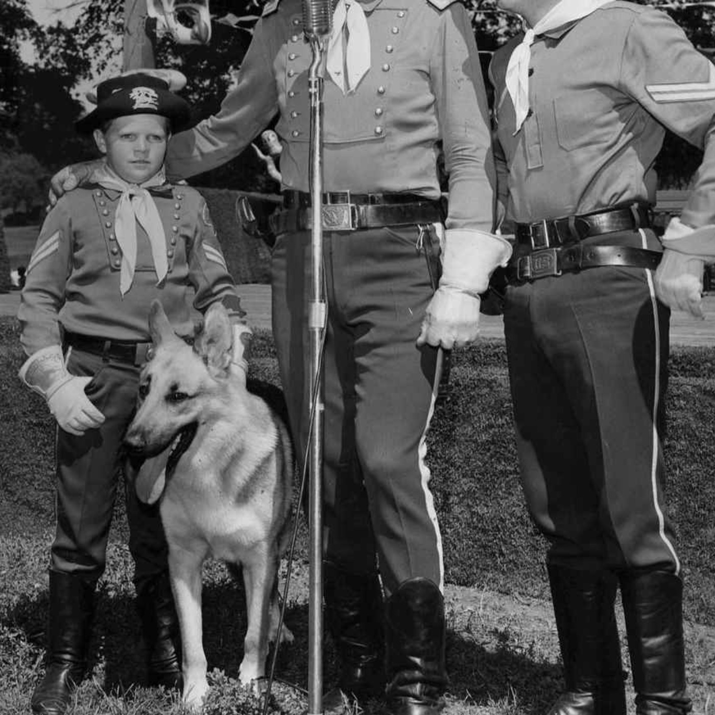 Hollywood’s Favourite Dog