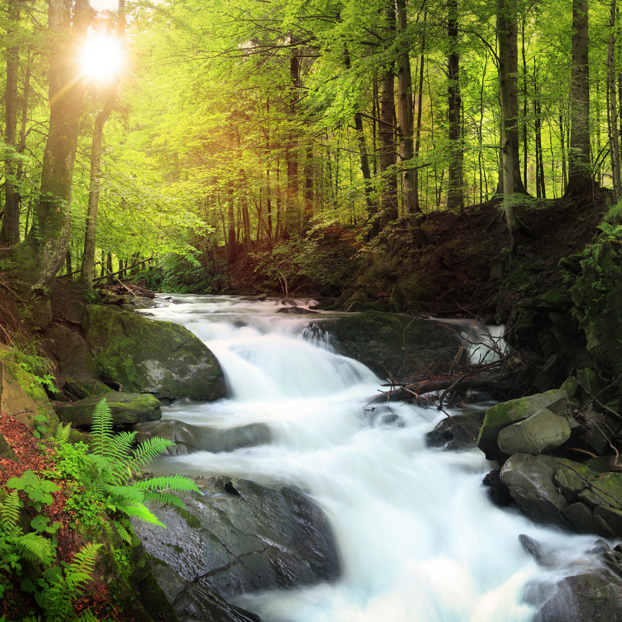 Sound Escape 141: Pause beside a roaring and refreshing mountain stream