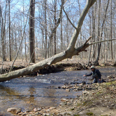 The February Room A Fly Fishing Podcast