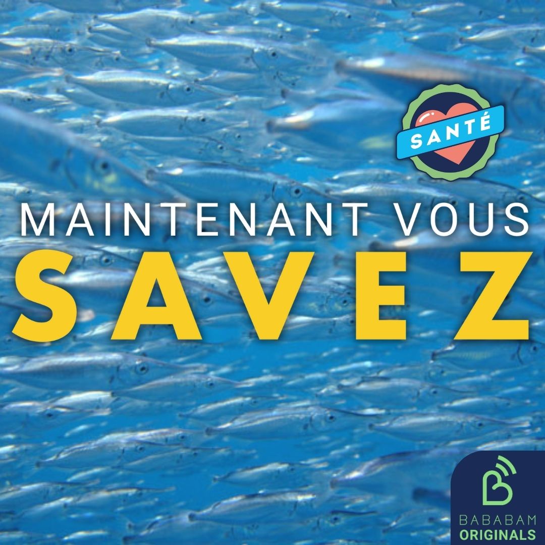 Manger du poisson : est-ce encore bon pour la santé ?