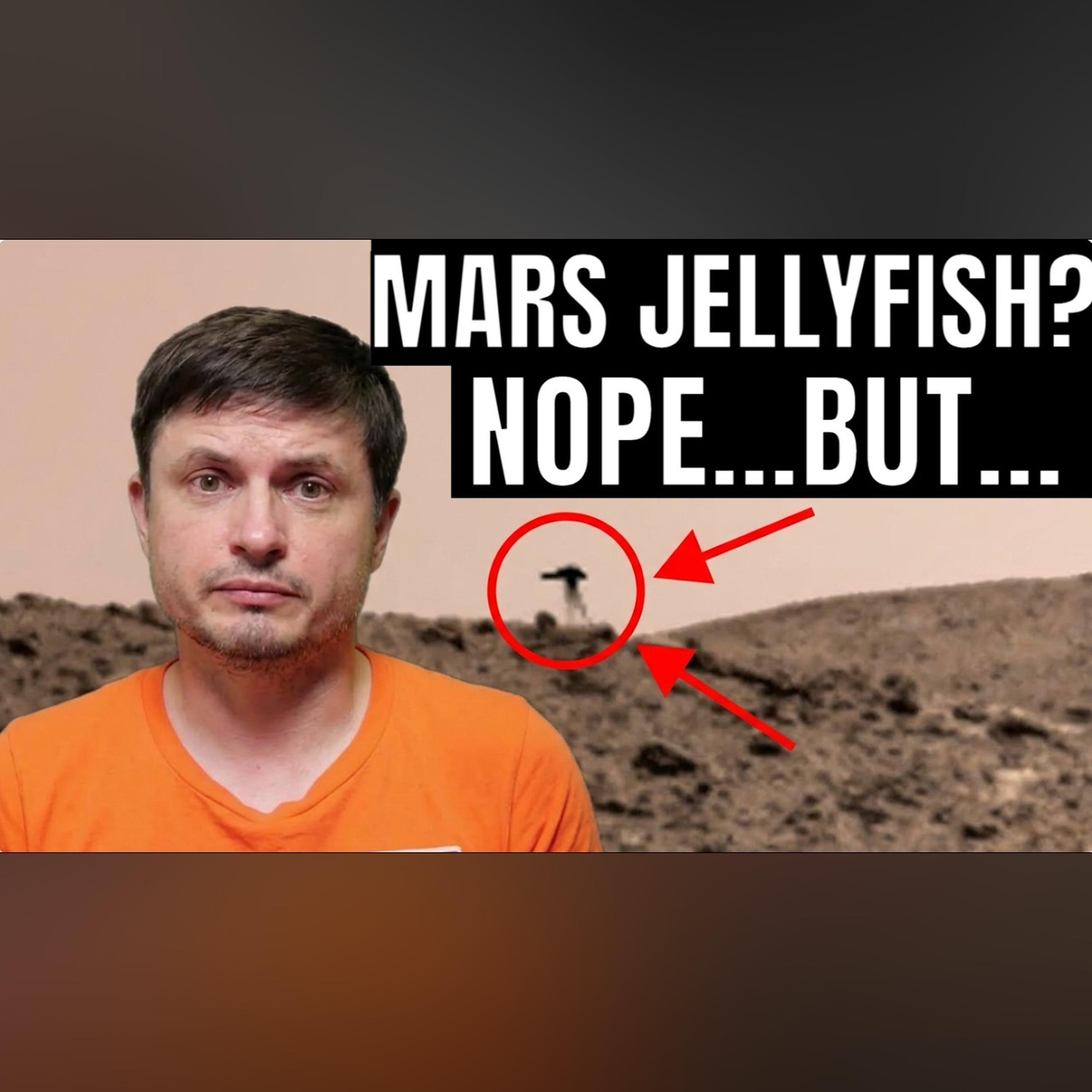 Jellyfish on Mars? No, But Here Are Some Exciting Discoveries From the Red Planet