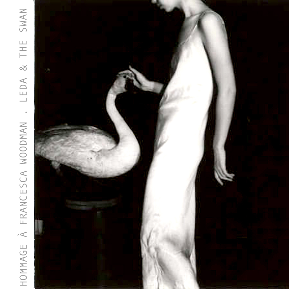 Leda and the Swan, When Myth Hides Violence