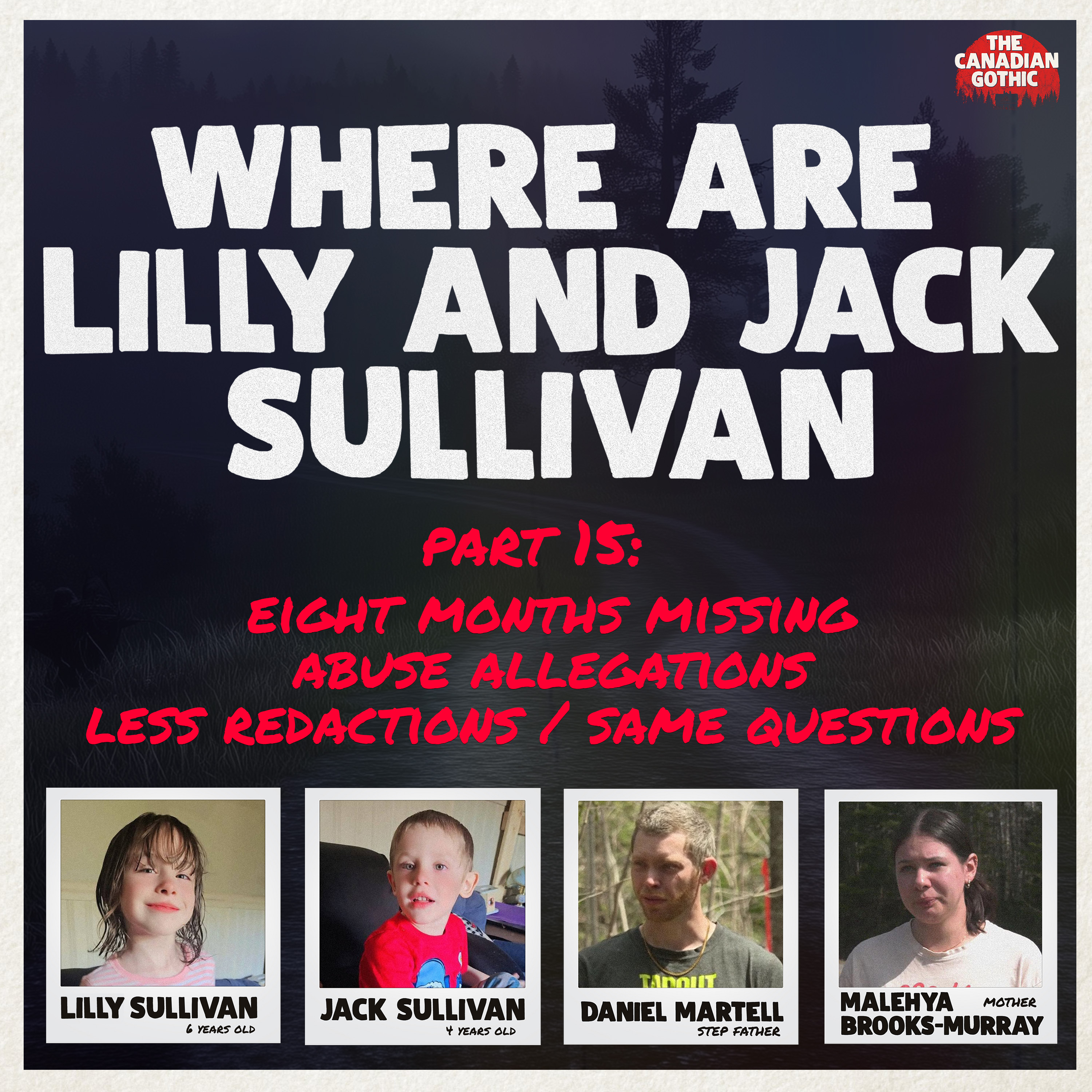 Where are Lilly and Jack Sullivan - Part 15: Eight Months Missing, Abuse Allegations, Less Redactions/Same Questions