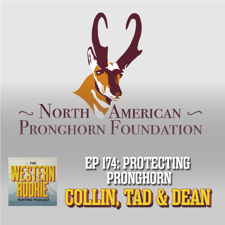 Western Rookie - Protecting Pronghorn w/ North American Pronghorn Foundation